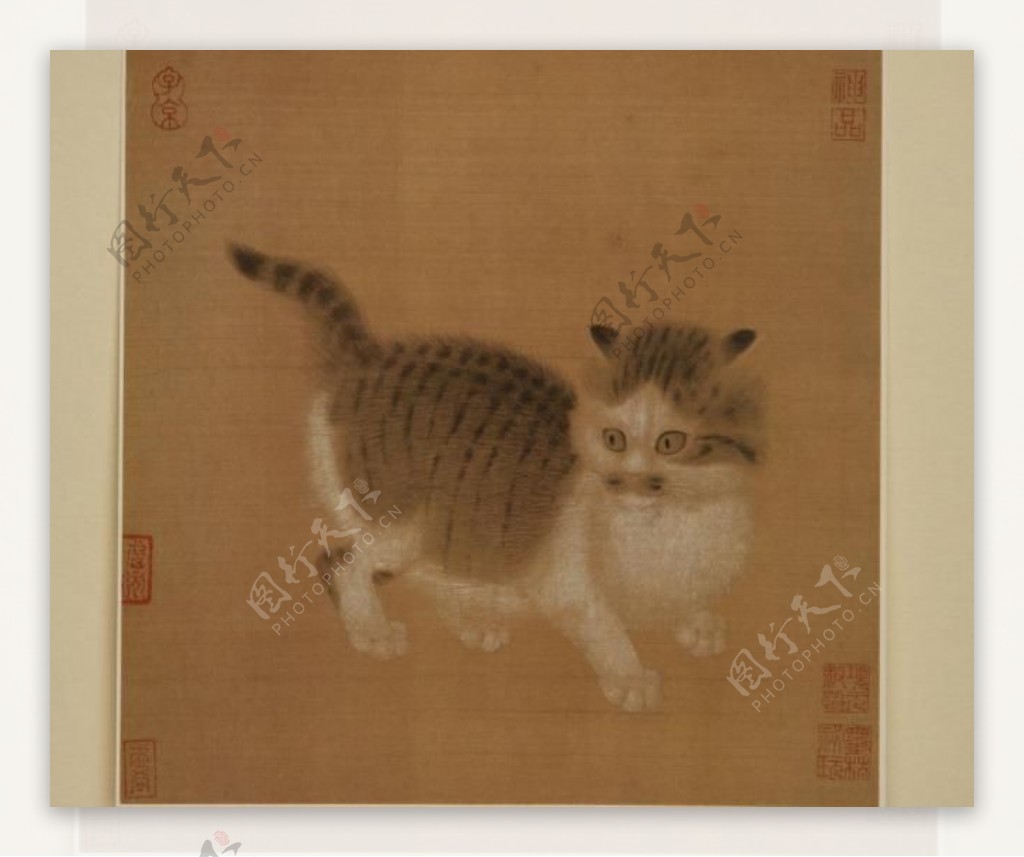 宋画猫小品图片