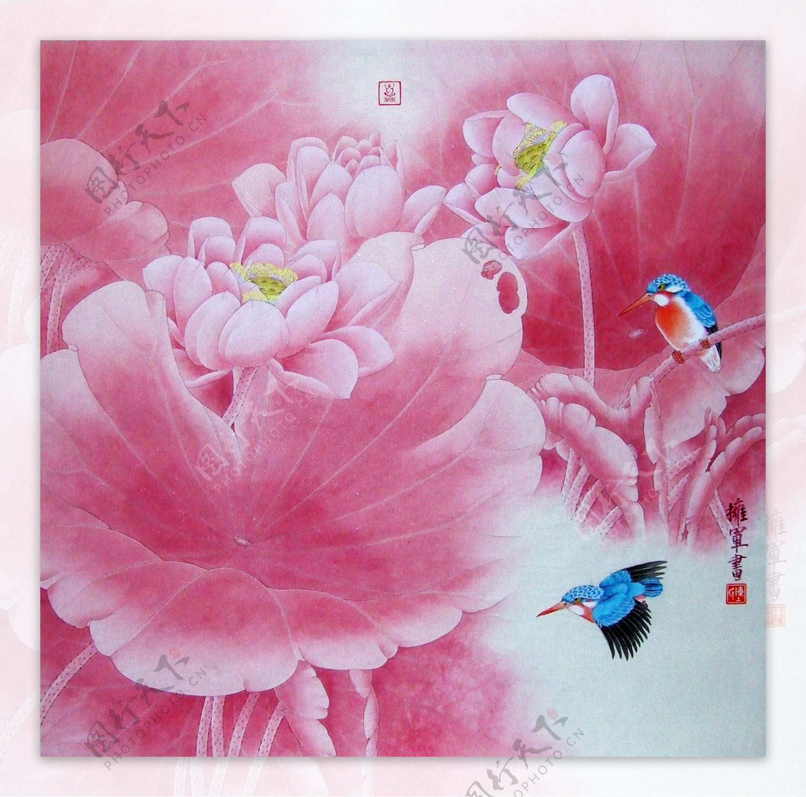红荷翠鸟图图片
