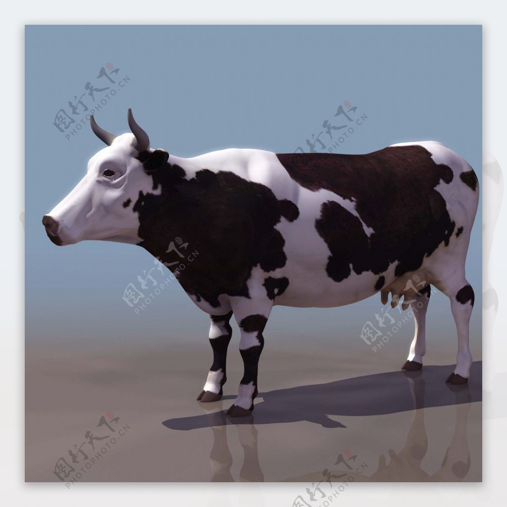 COW奶牛3d模型图片