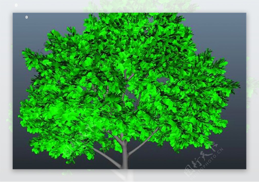 绿树游戏CG模型