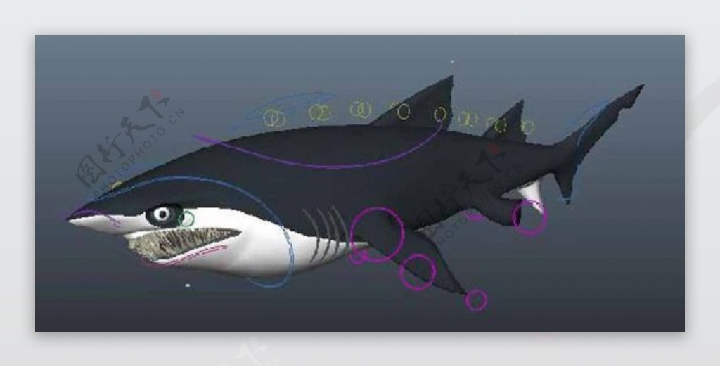大鲸鱼模型