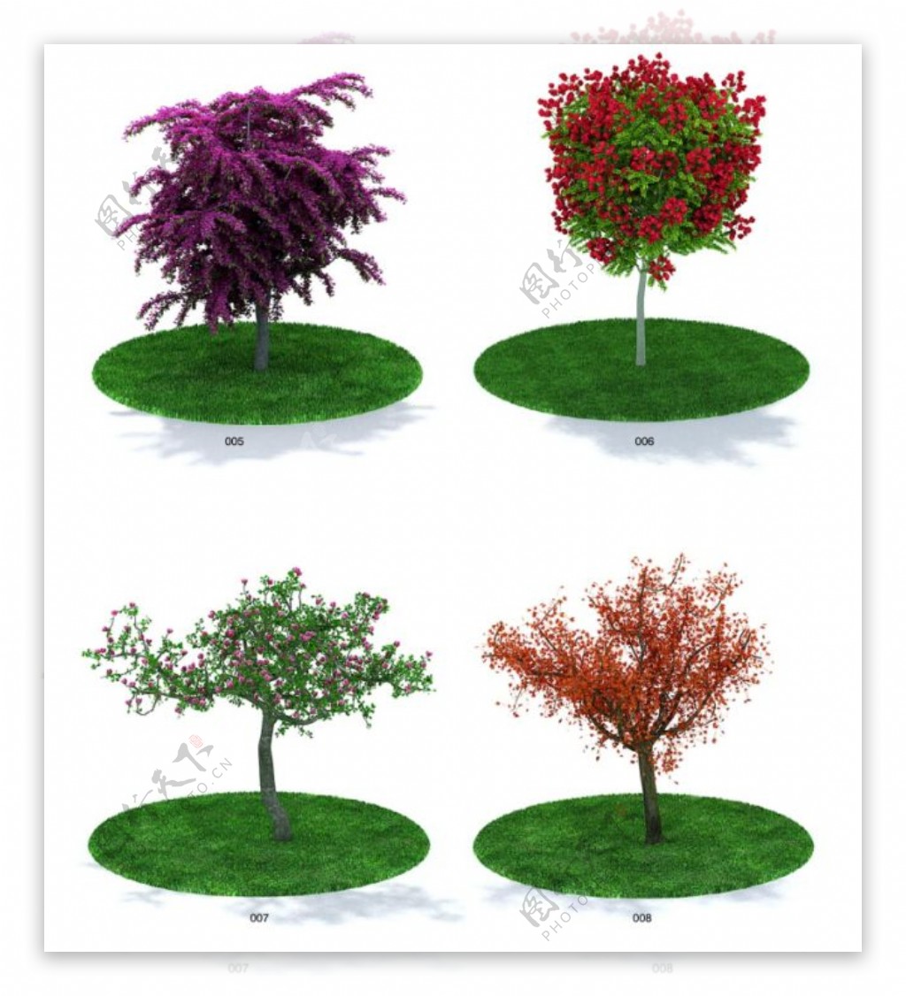 果树模型