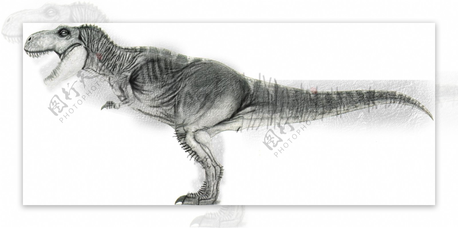 动物恐龙爬行类3d模型素材免费下载3d模型免费下载12