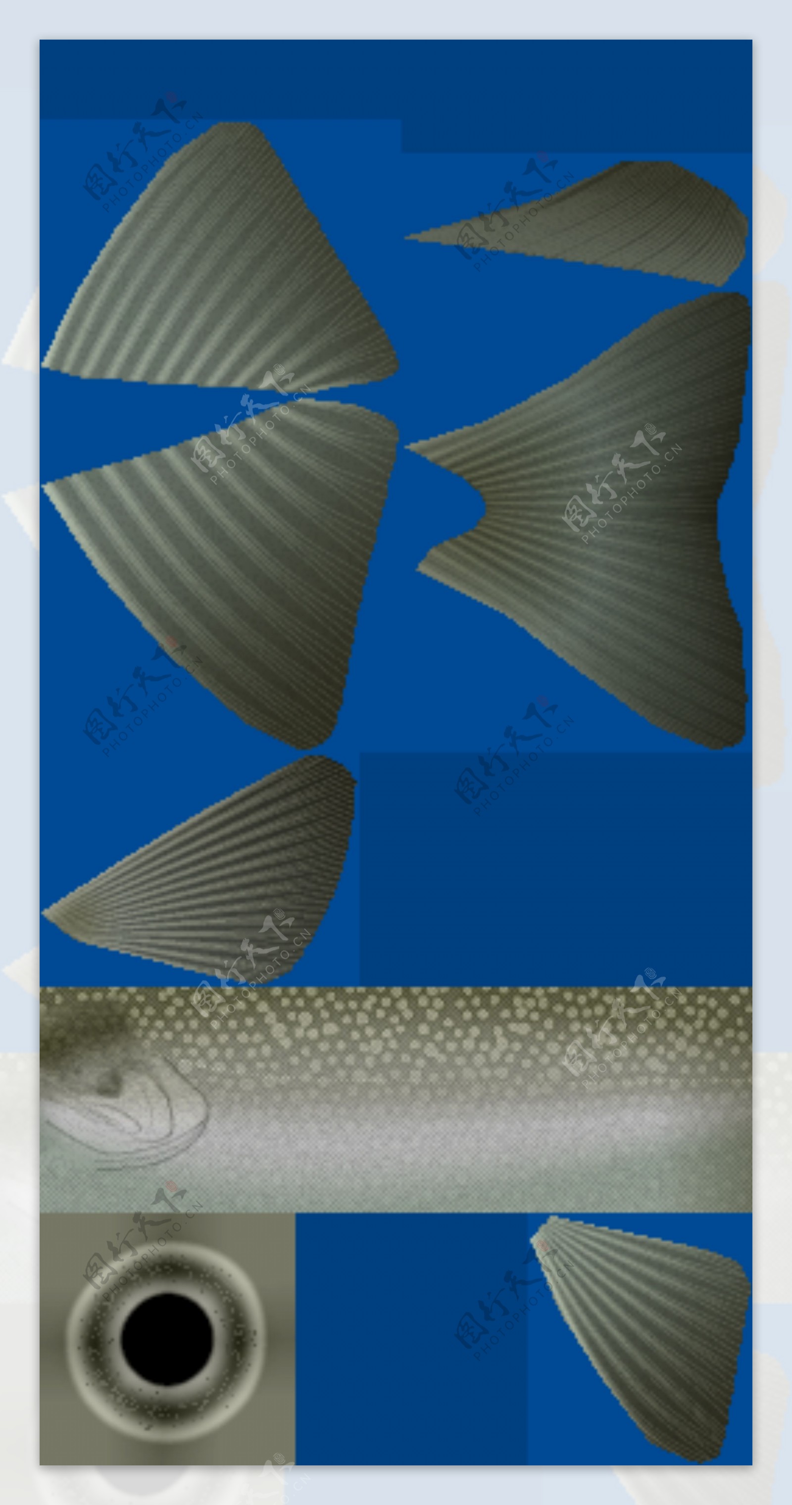 动物鱼类3d模型动植物模型免费下载动物3d模型1