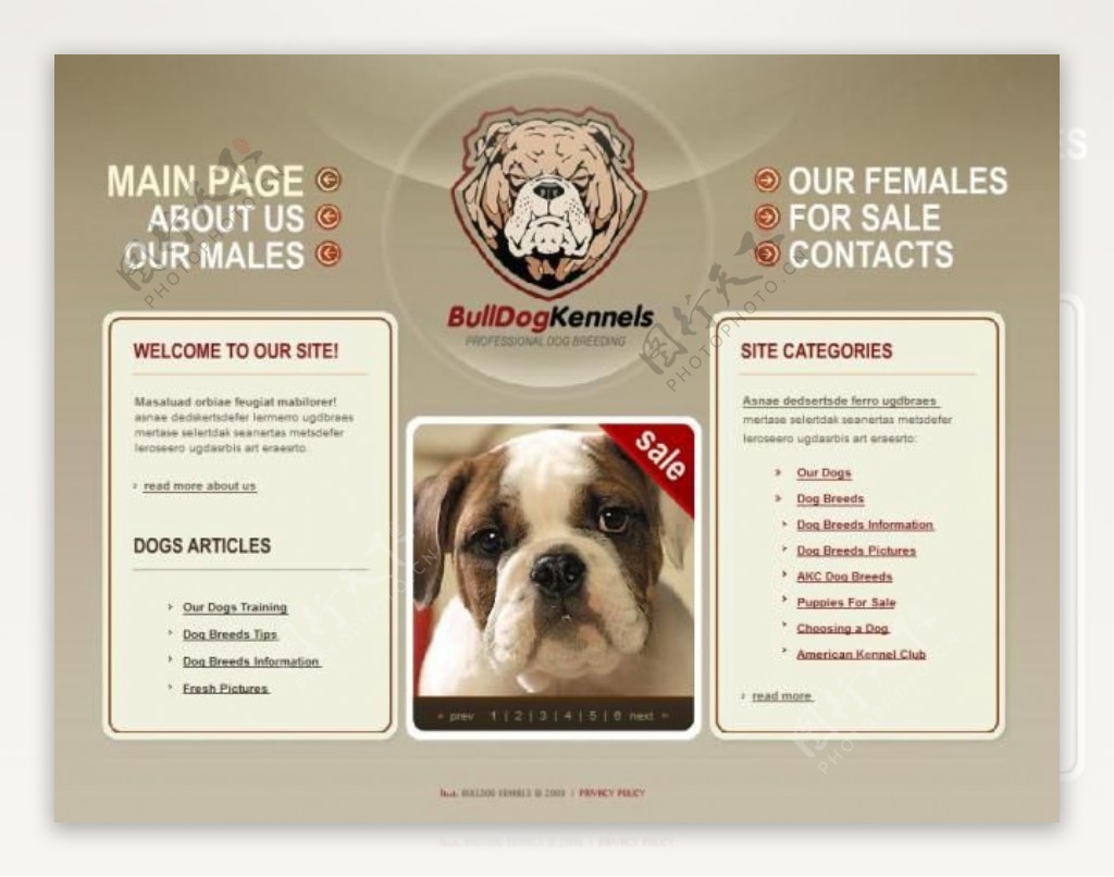 狗狗宠物店网页动画模板