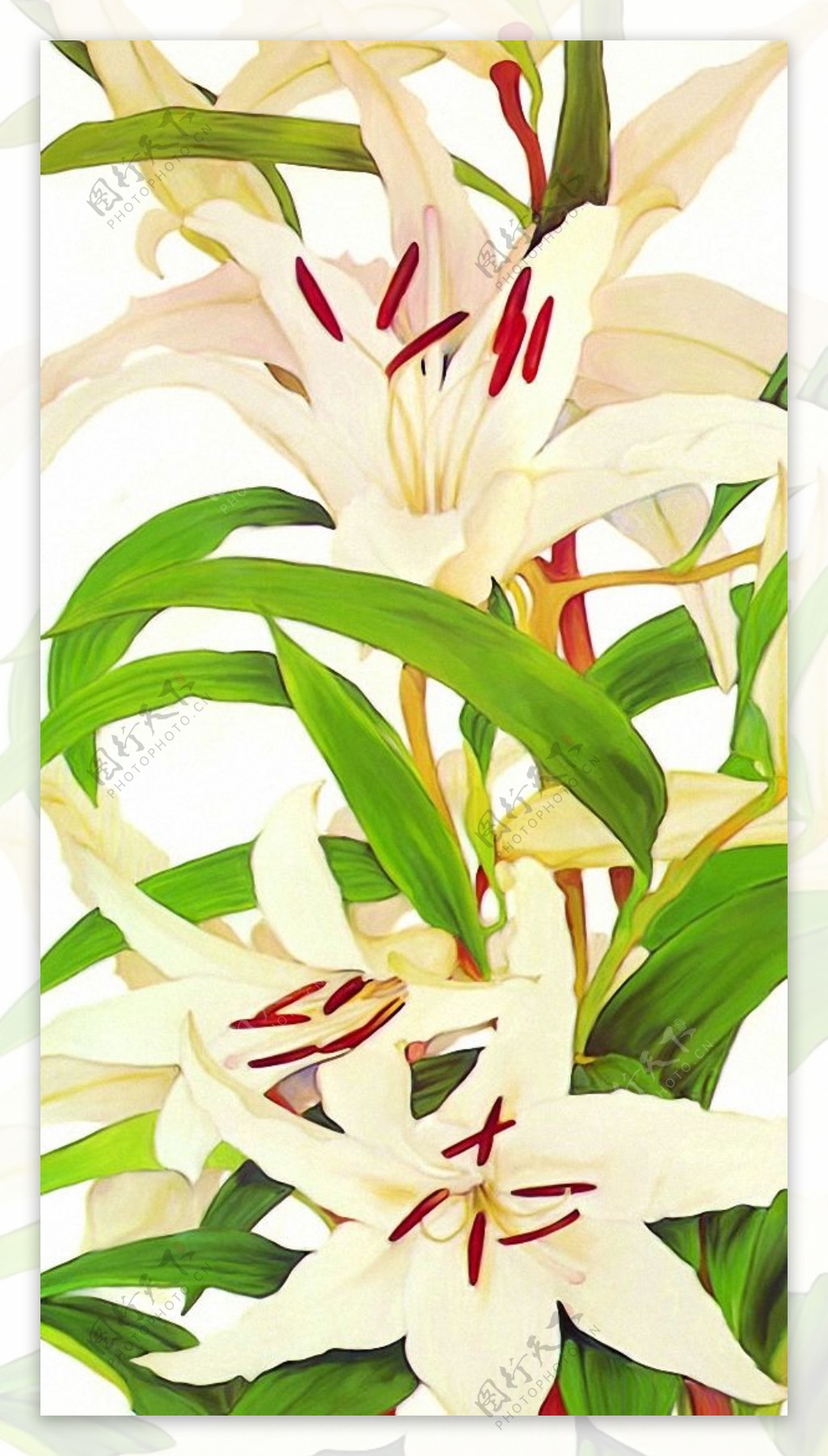 位图植物花卉艺术效果油画免费素材