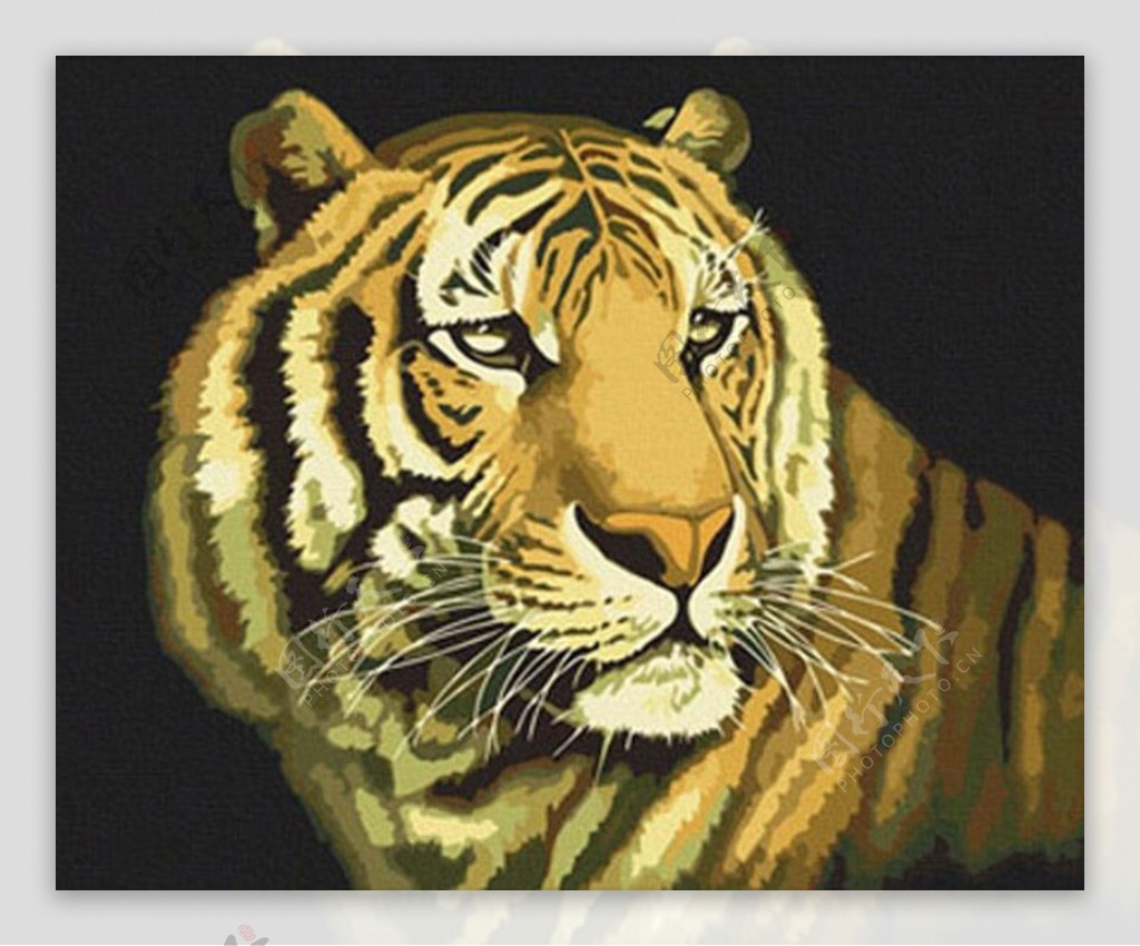 位图动物老虎艺术效果色彩免费素材