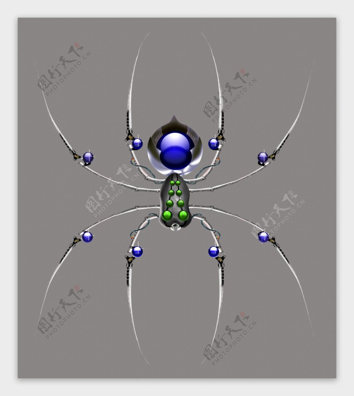 宝石蓝银饰蜘蛛平面设计素材