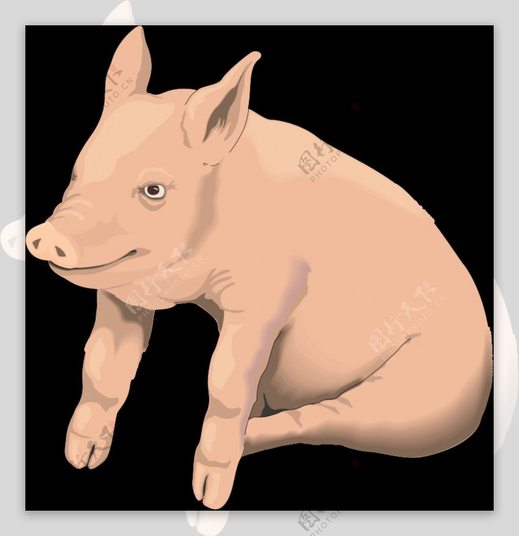 猪2