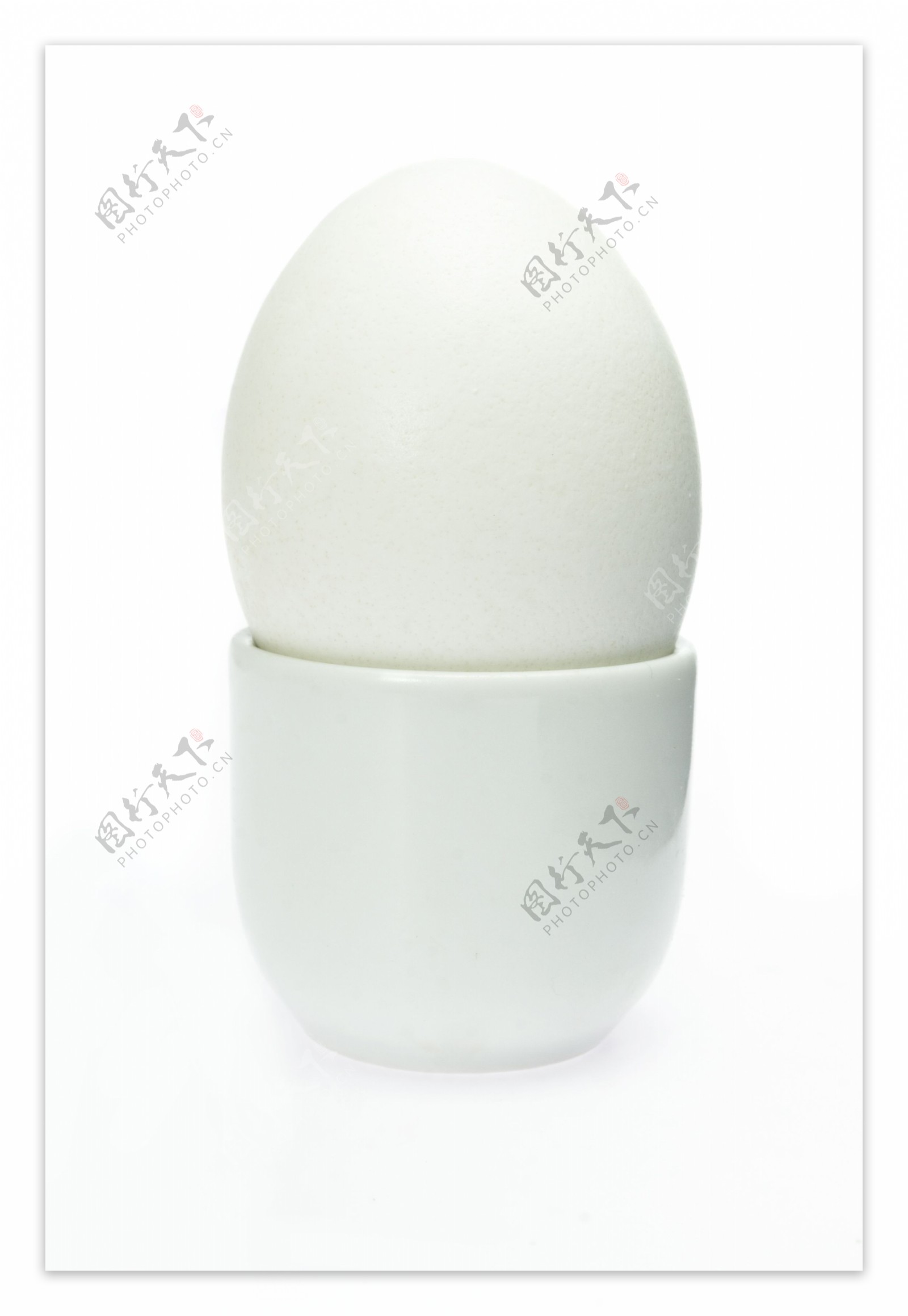 白色鸡蛋图片