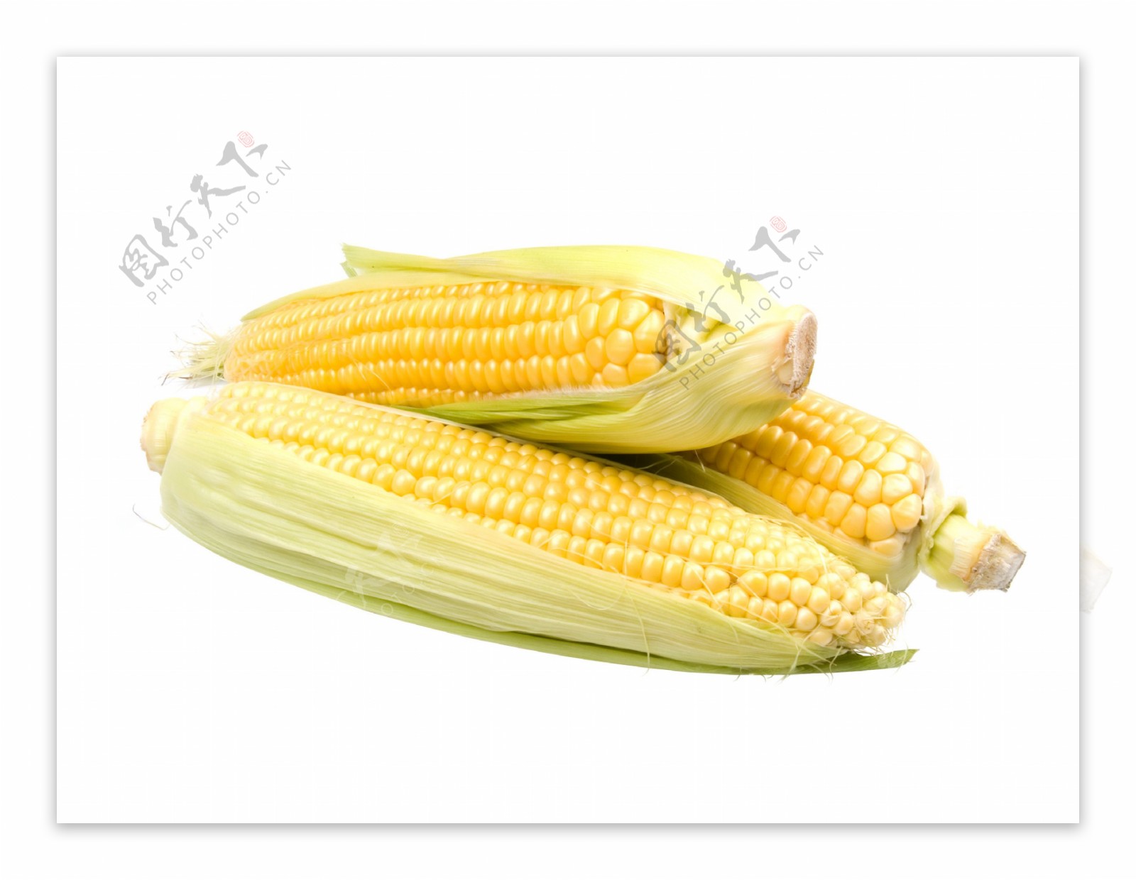 玉米孤立在白色背景