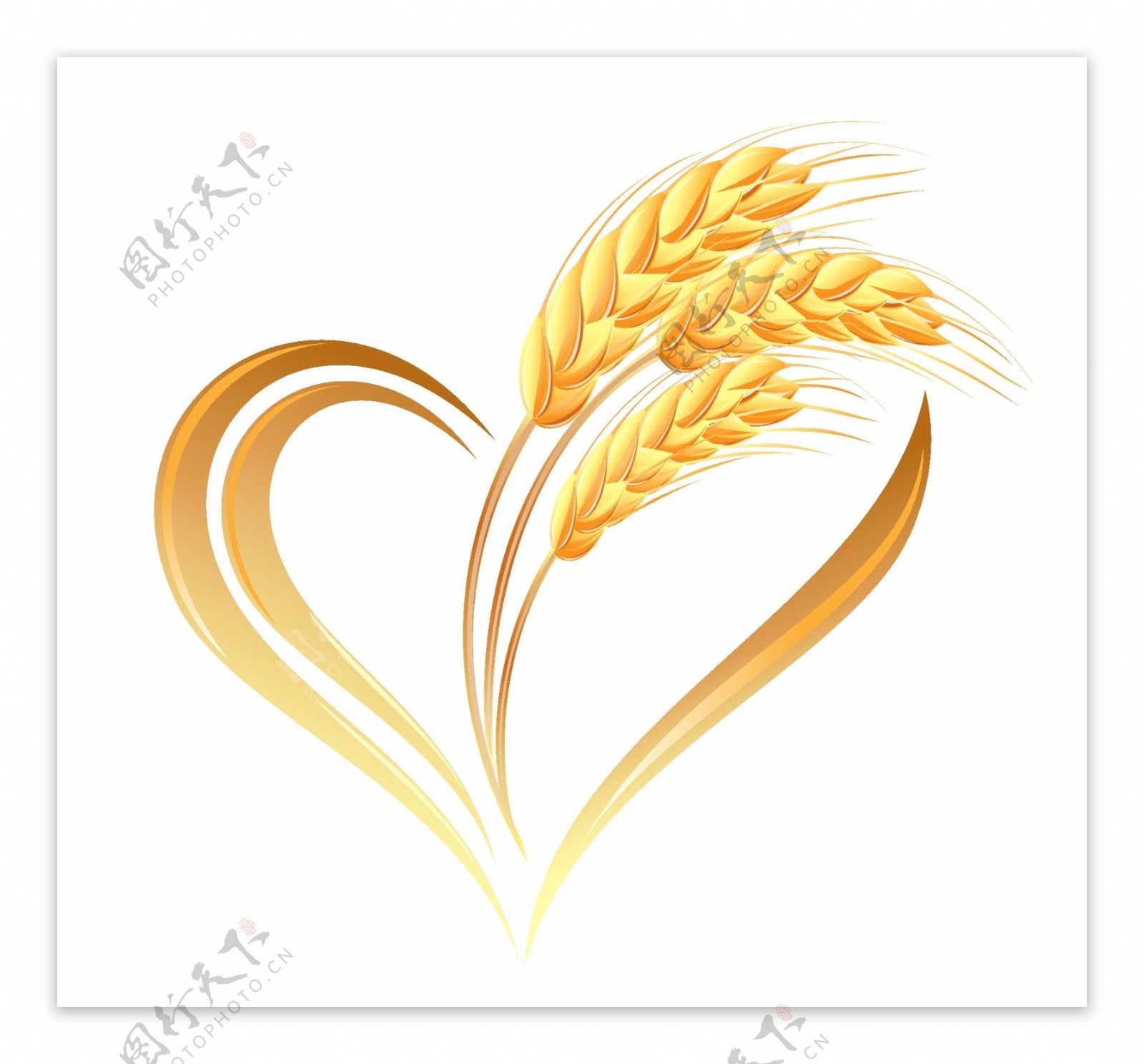 小麦矢量图4