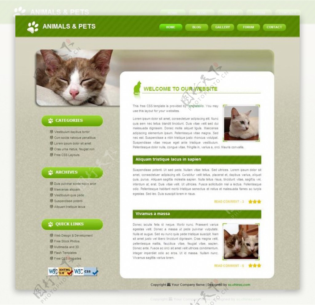 动物宠物网页