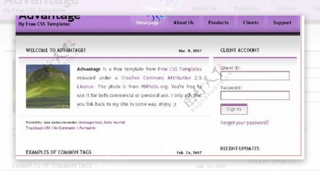 紫色主题BLOG网页模板