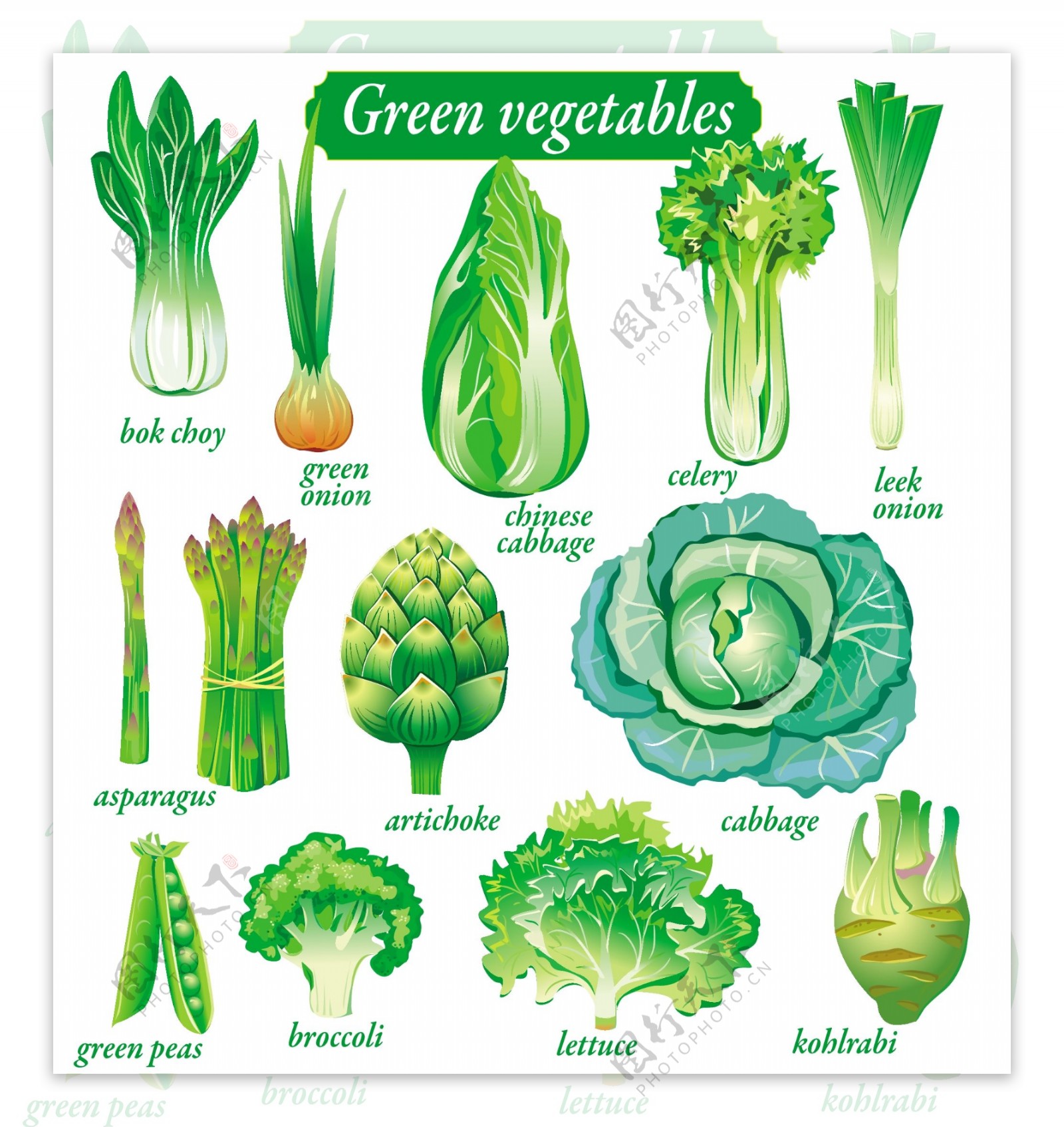 精致绿色蔬菜