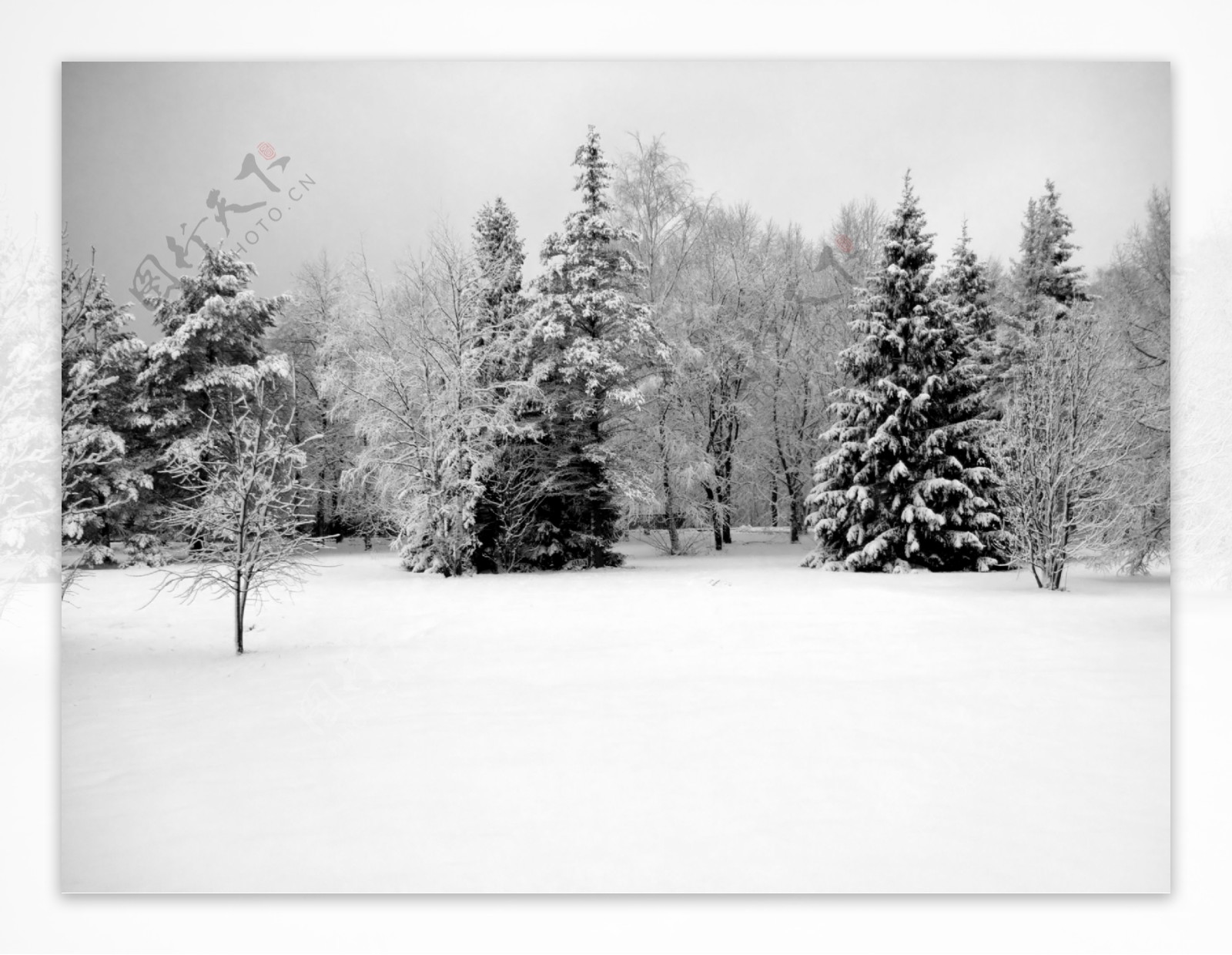 冬天雪景图片素材