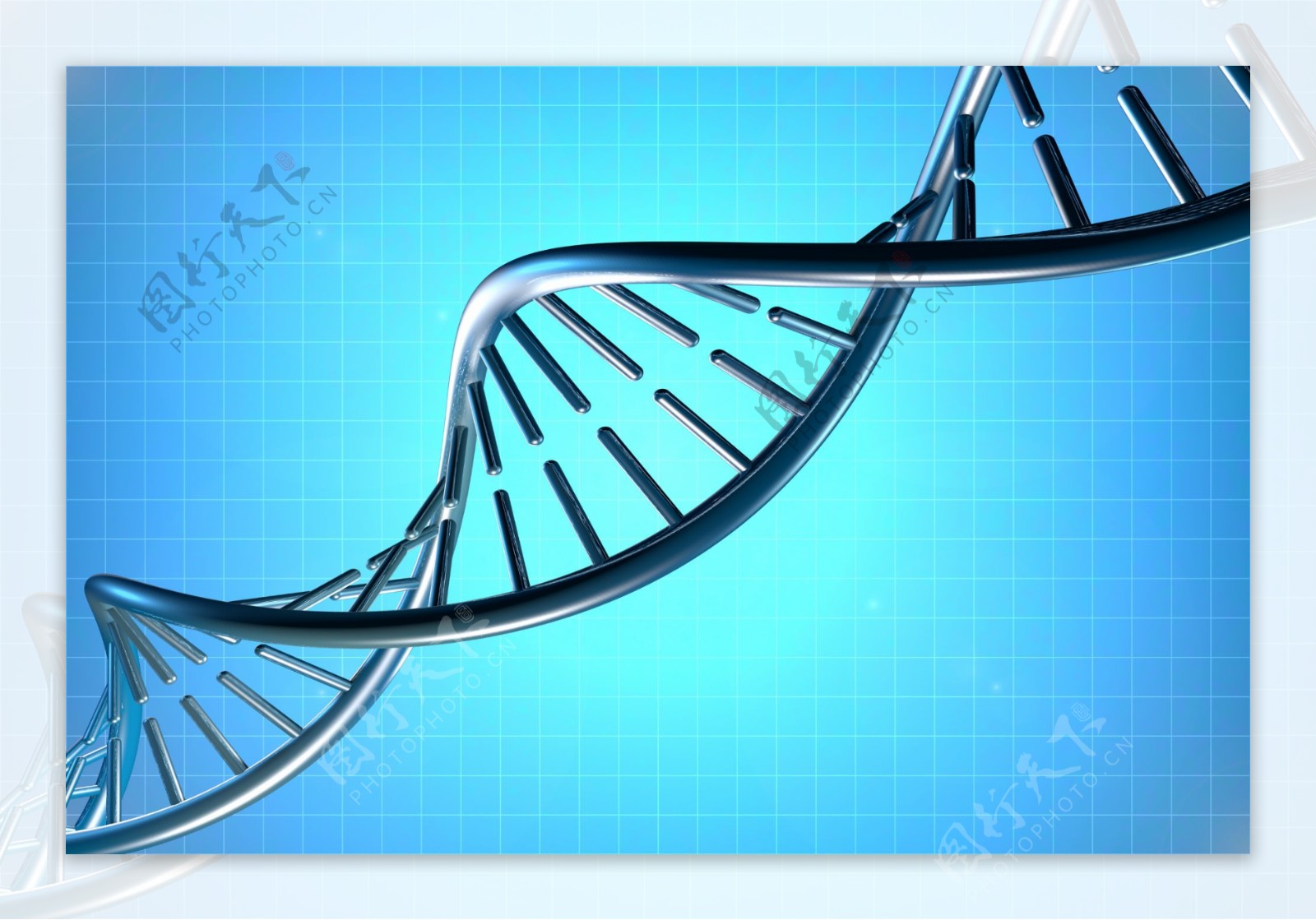 DNA遗传基因图片