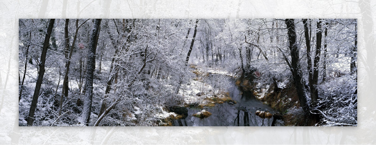 雪景