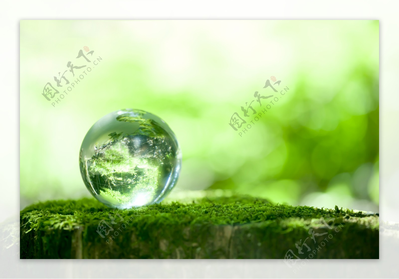 高清图片大自然的绿色水滴