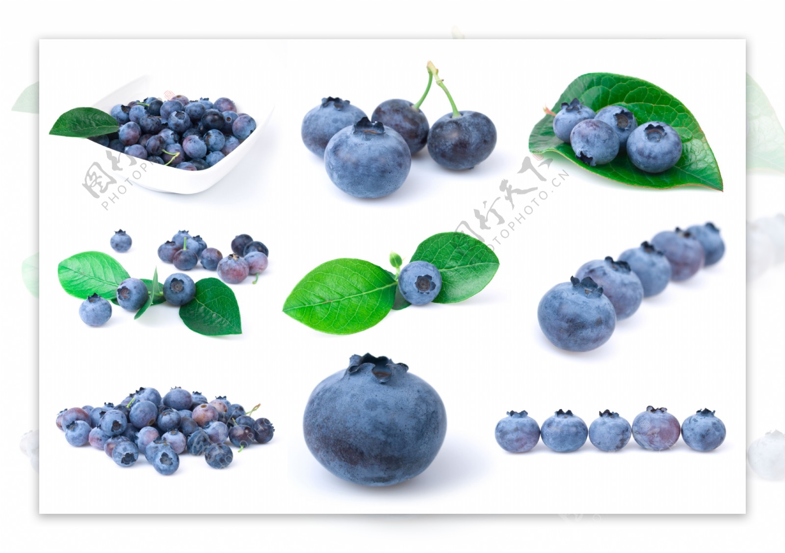 蓝莓蓝莓