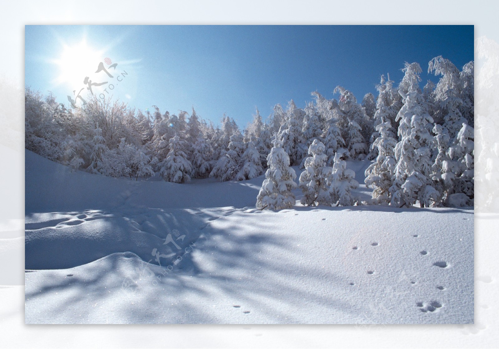 冬天雪景