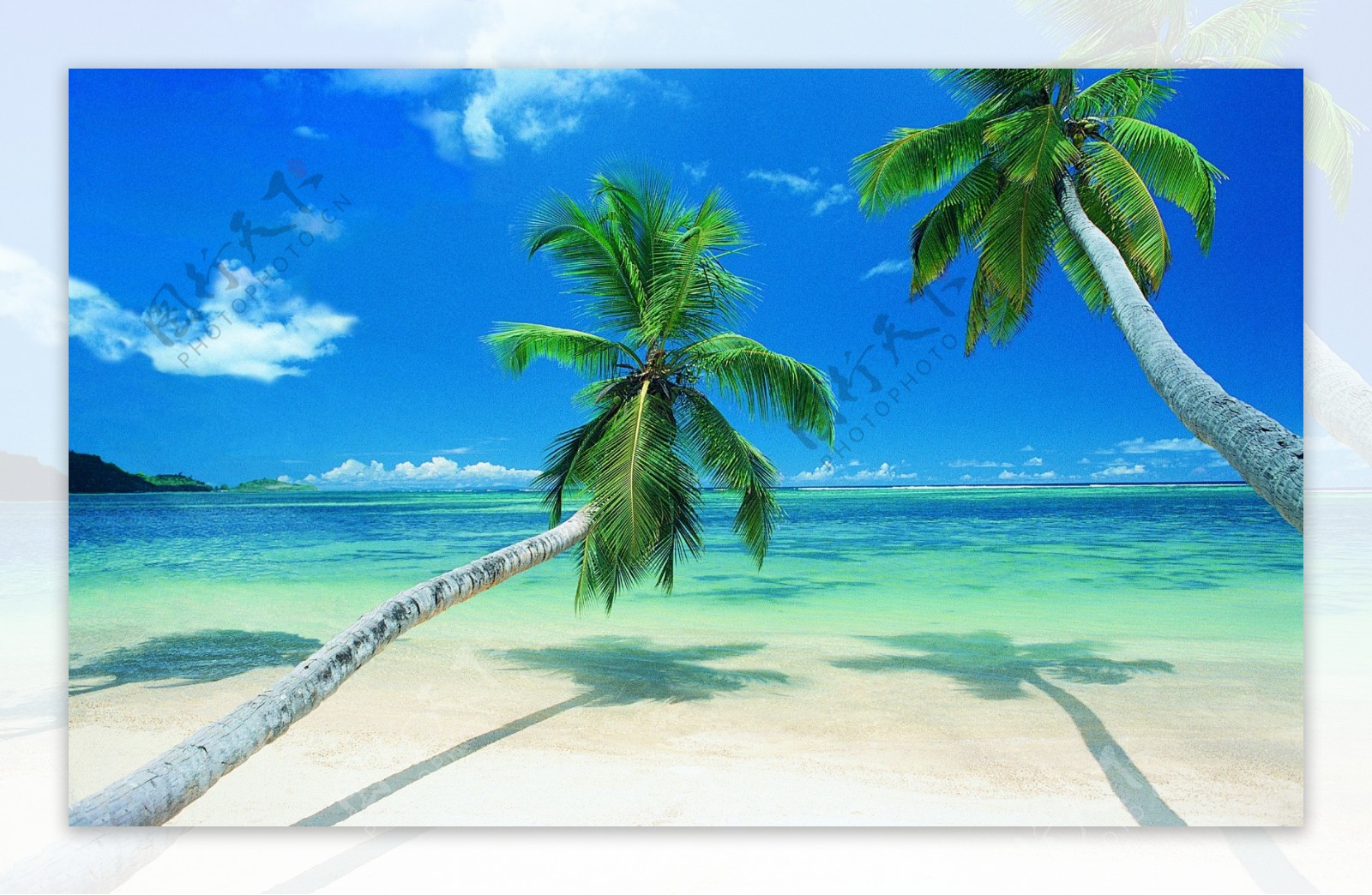海蓝天海岛海滩椰树白云
