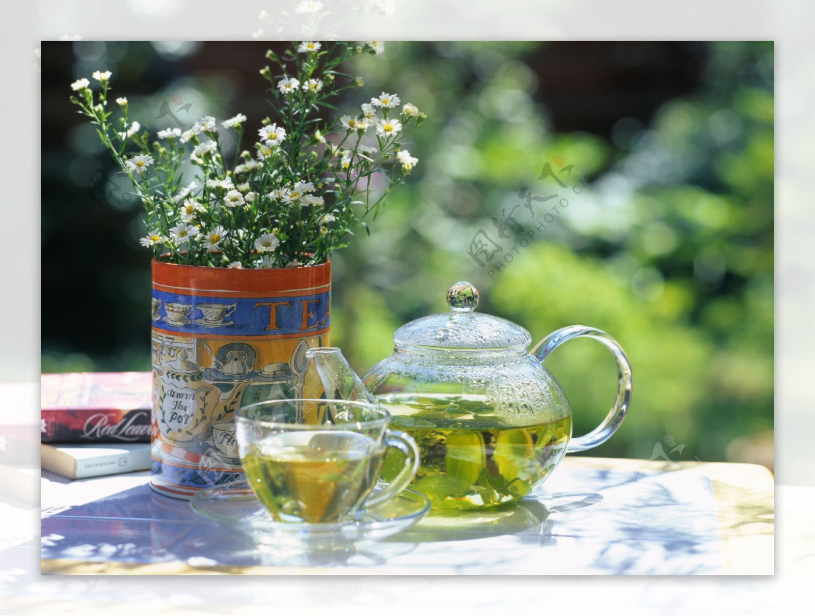 茶水茶杯野菊花图片