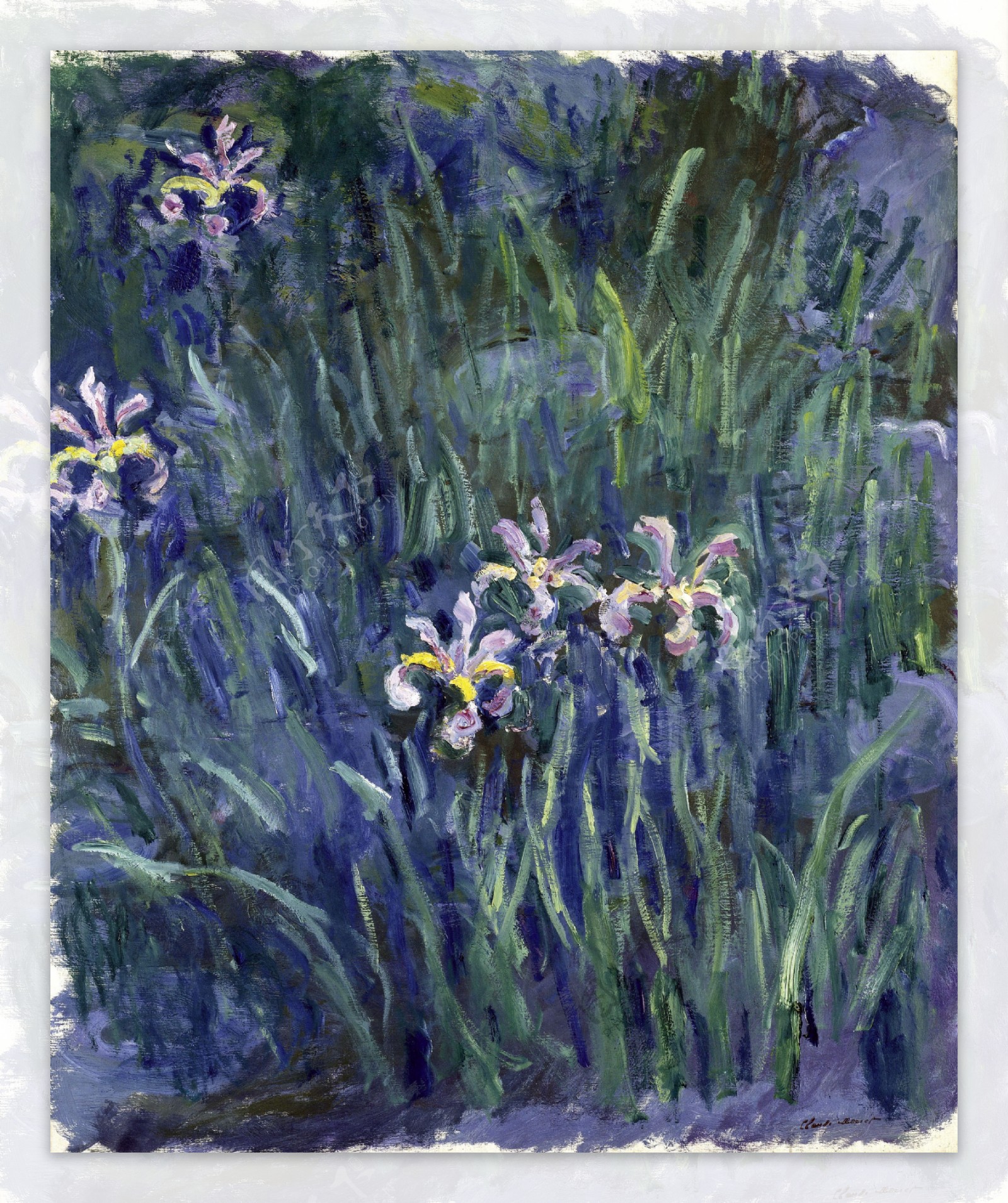 Iris19141917法国画家克劳德.莫奈oscarclaudeMonet风景油画装饰画