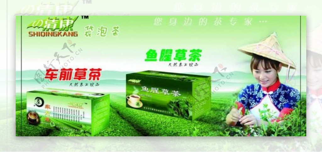 茶包装车前草鱼腥草养生减肥图片