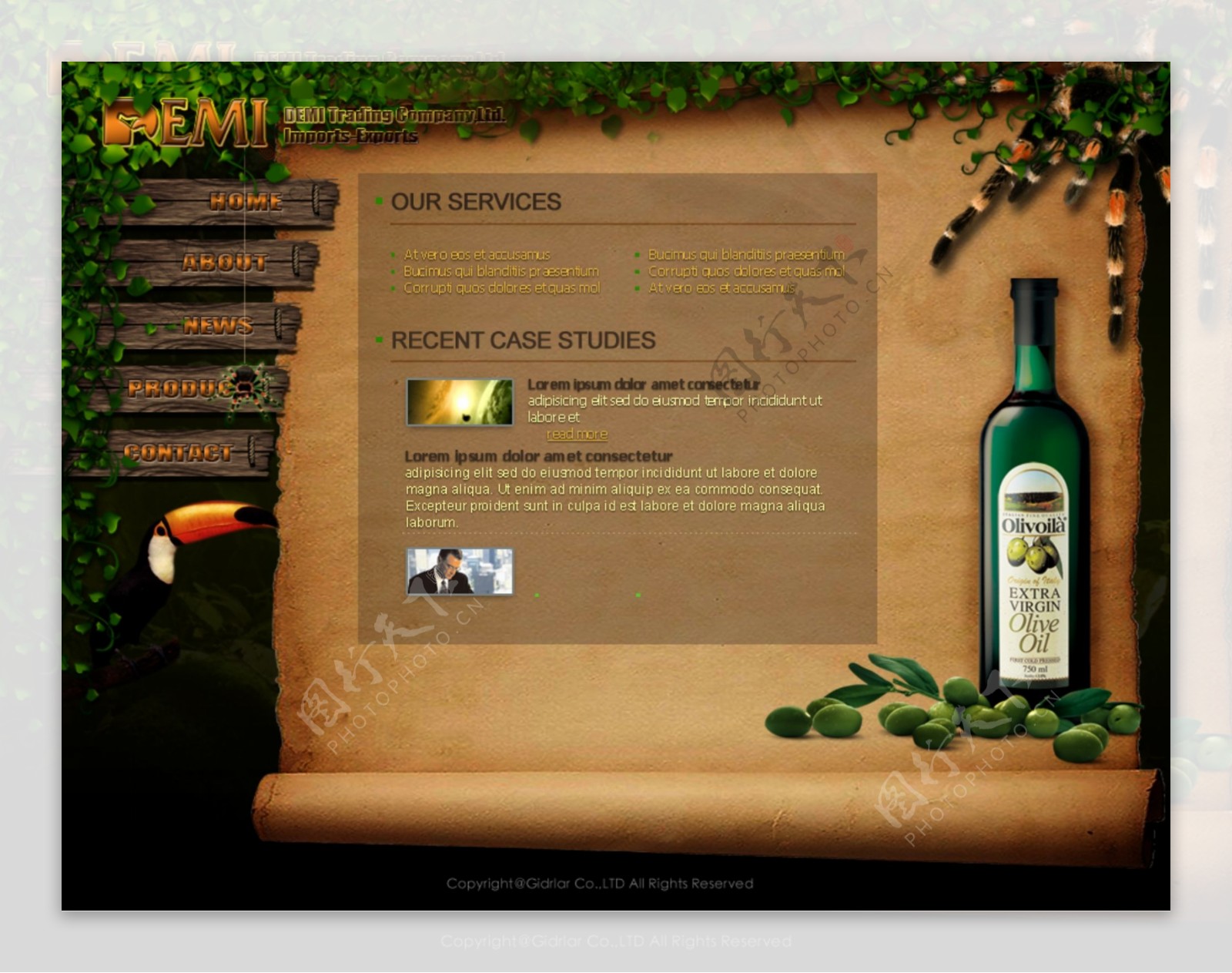 橄榄油网页设计模版图片