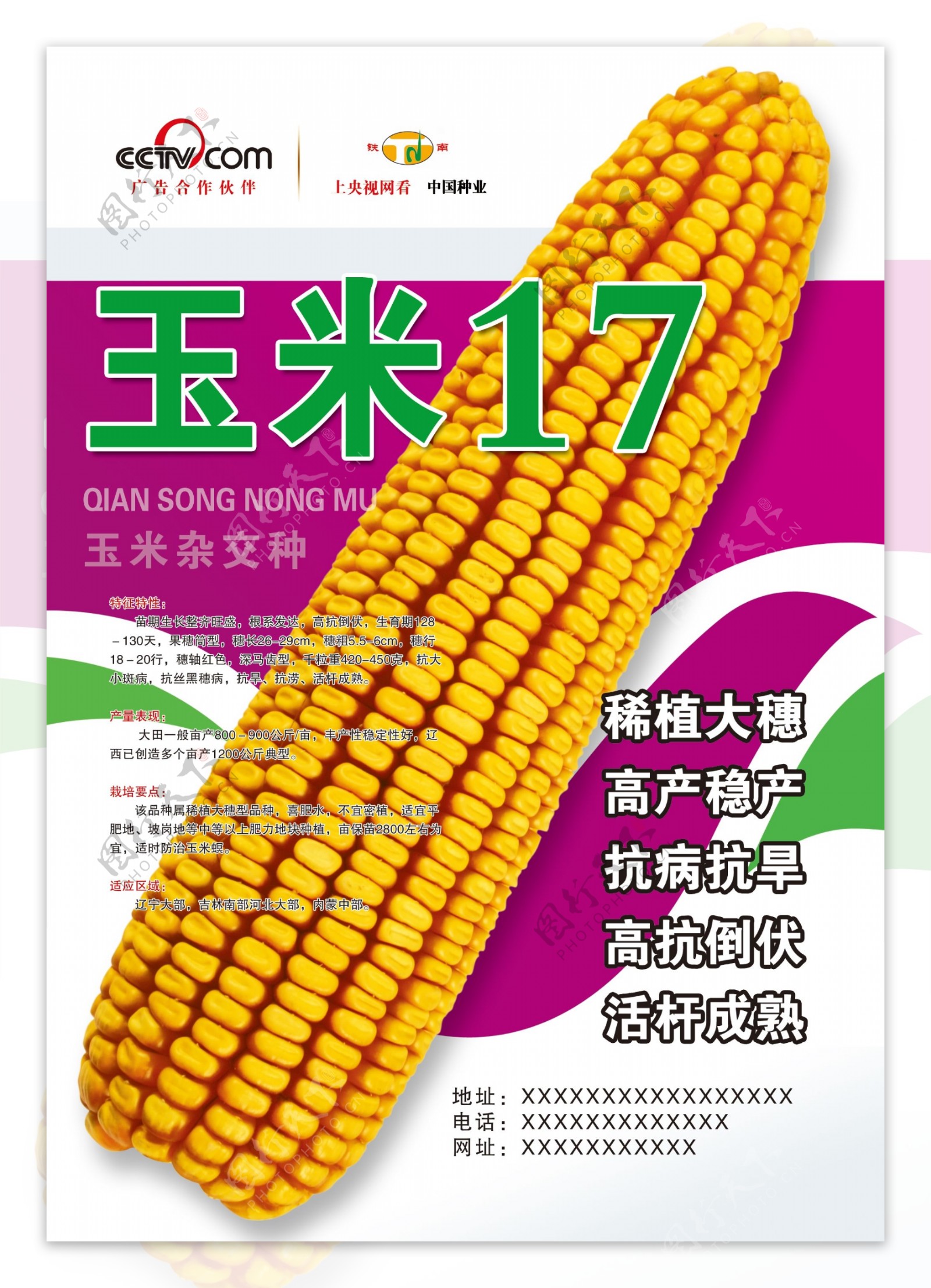 玉米包装广告图片