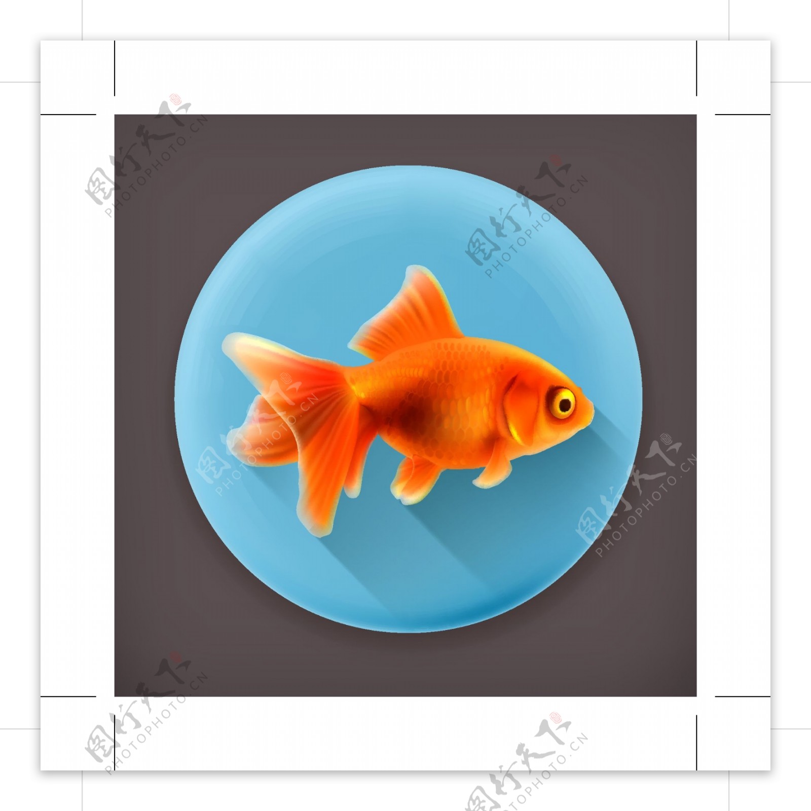金鱼ICON图标标志图片