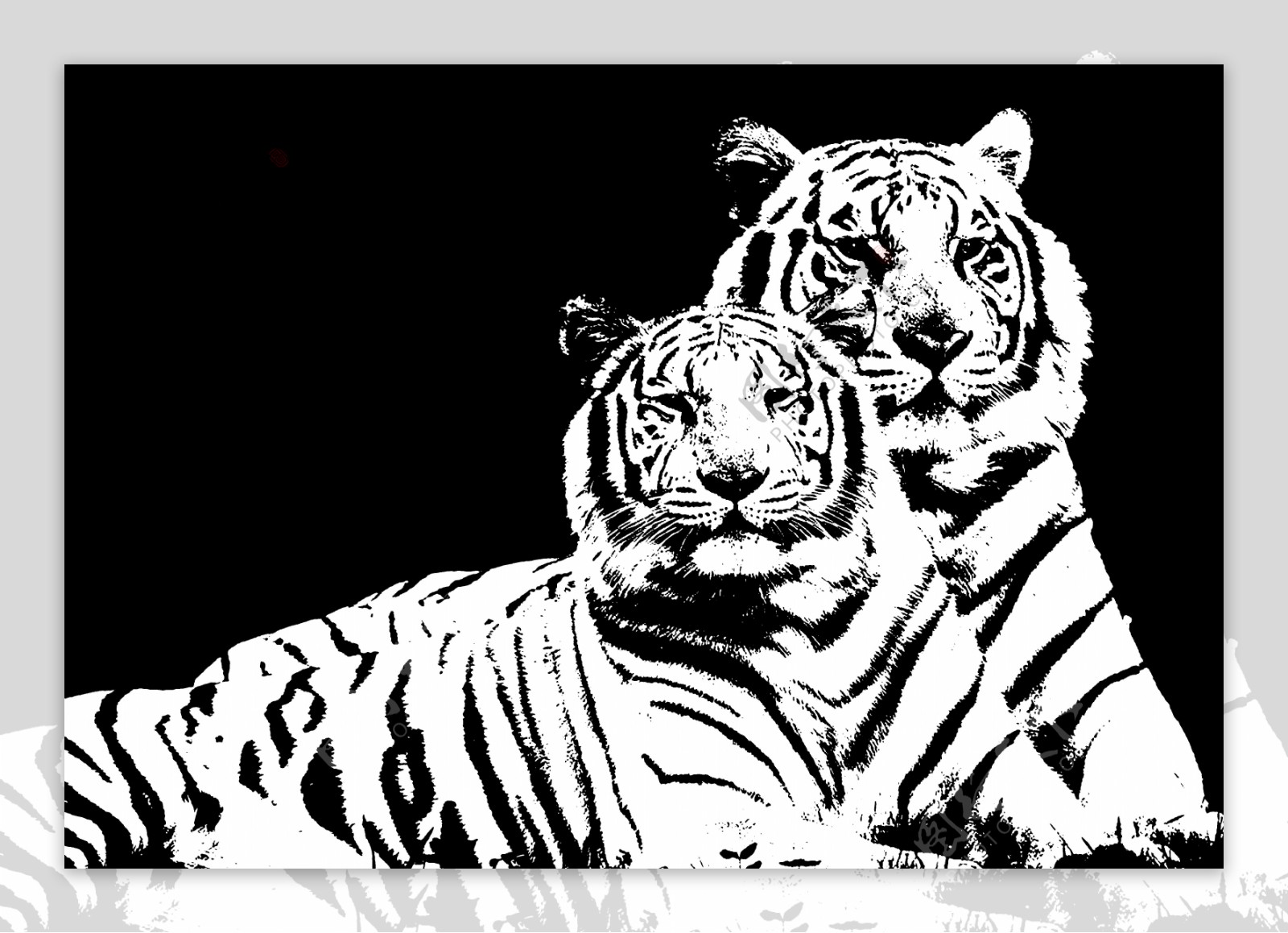 欧式装饰画两只老虎图片