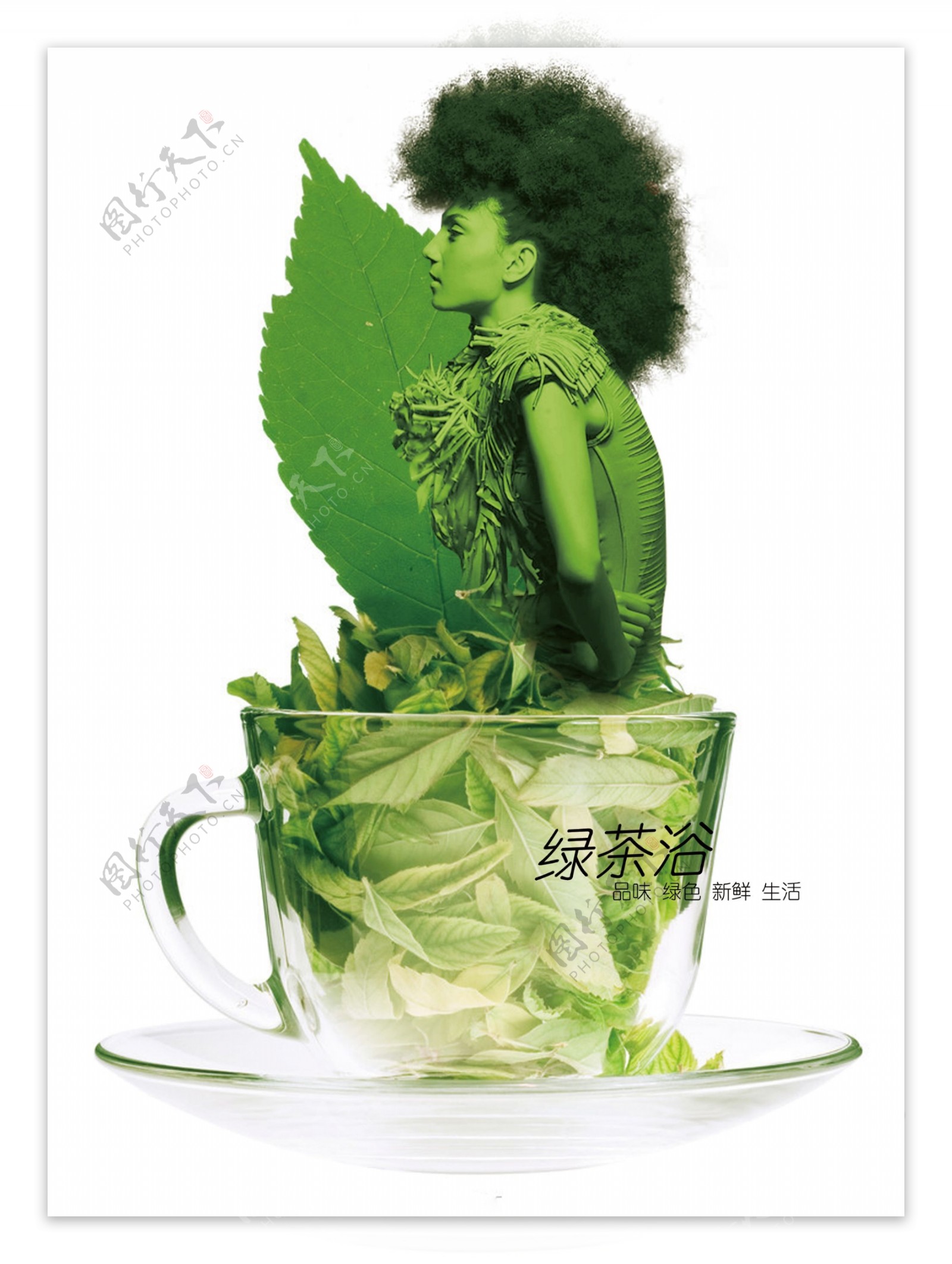 绿茶浴图片