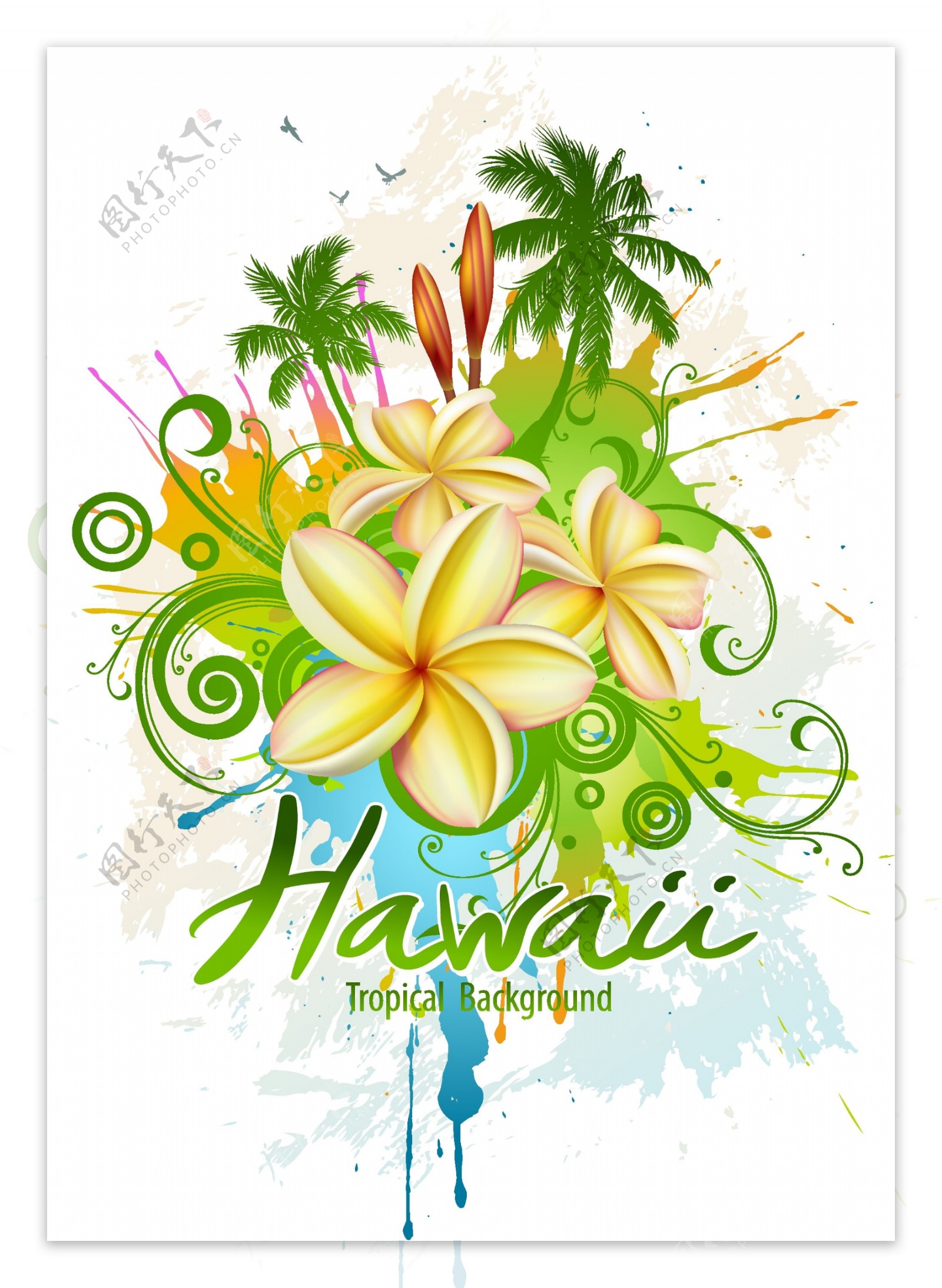 热带天堂夏威夷宣传海报矢量素材