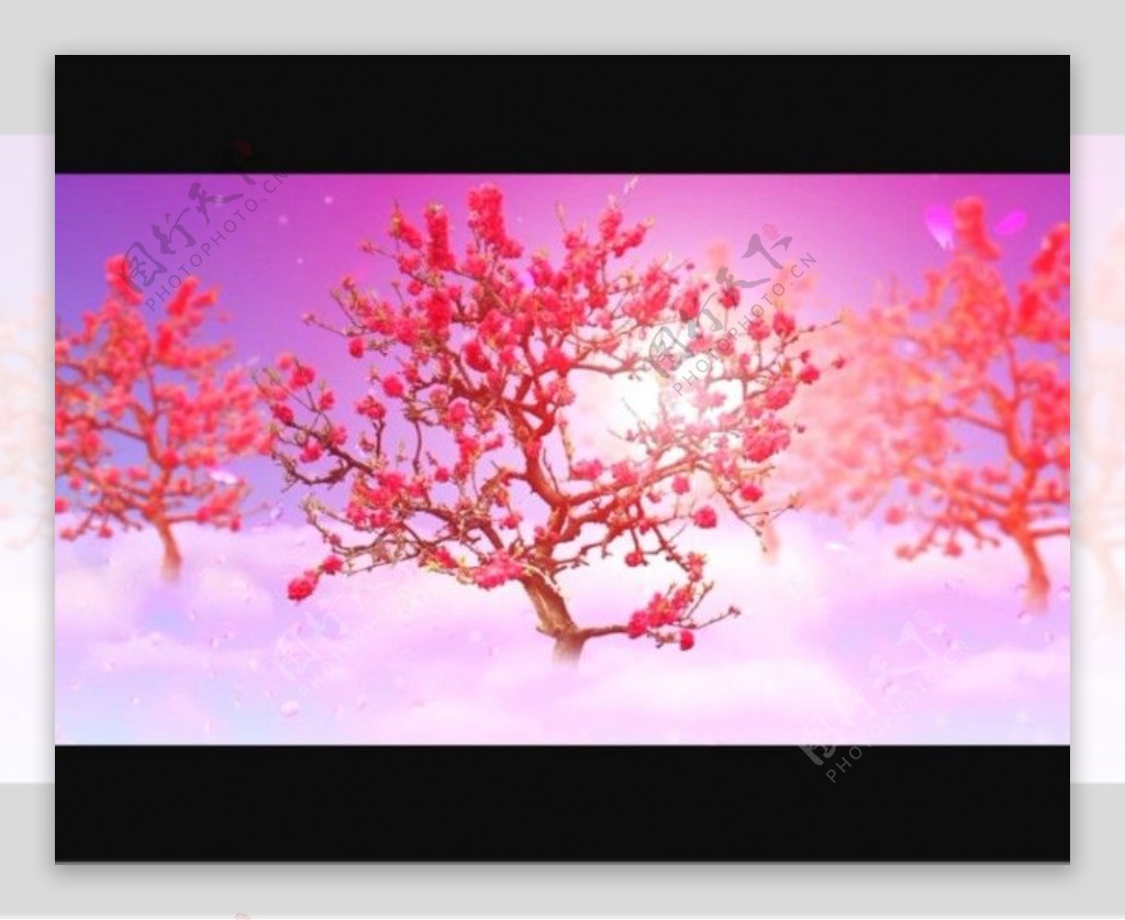 桃花树背景视频素材模板下载