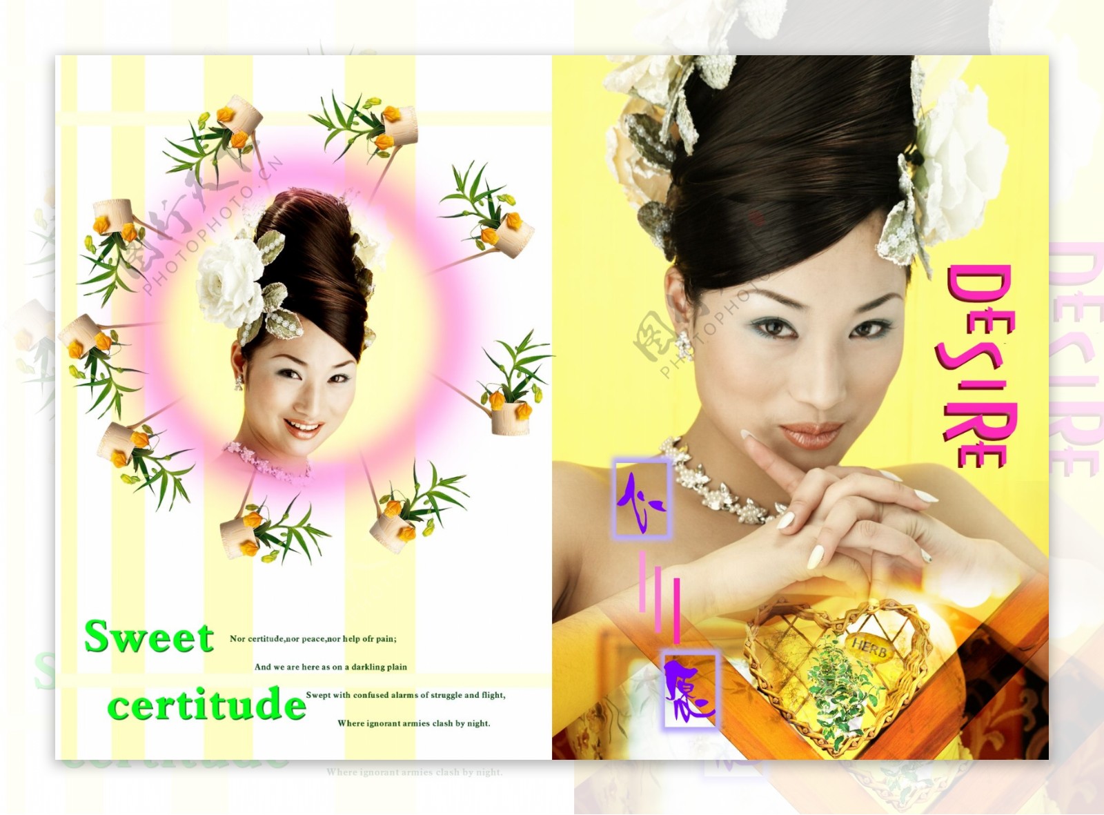 广告艺术美图名片黄色婚纱摄影卷轴图片