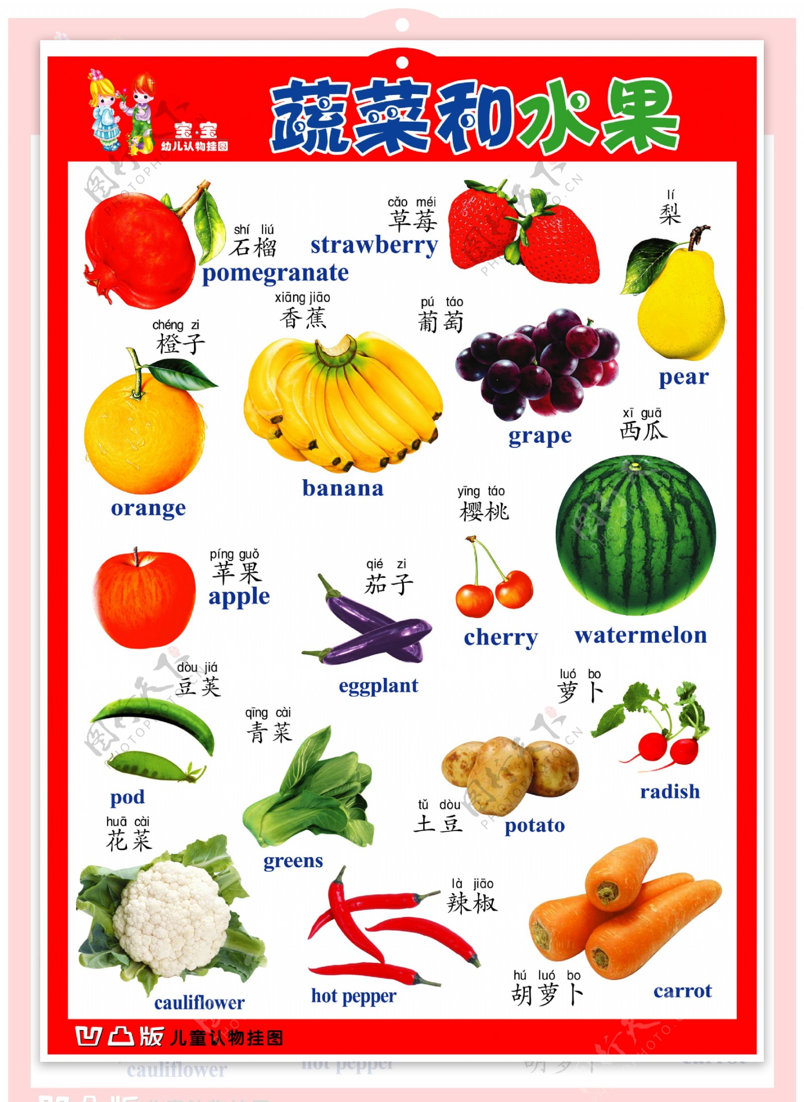 蔬菜和水果幼儿挂图图片