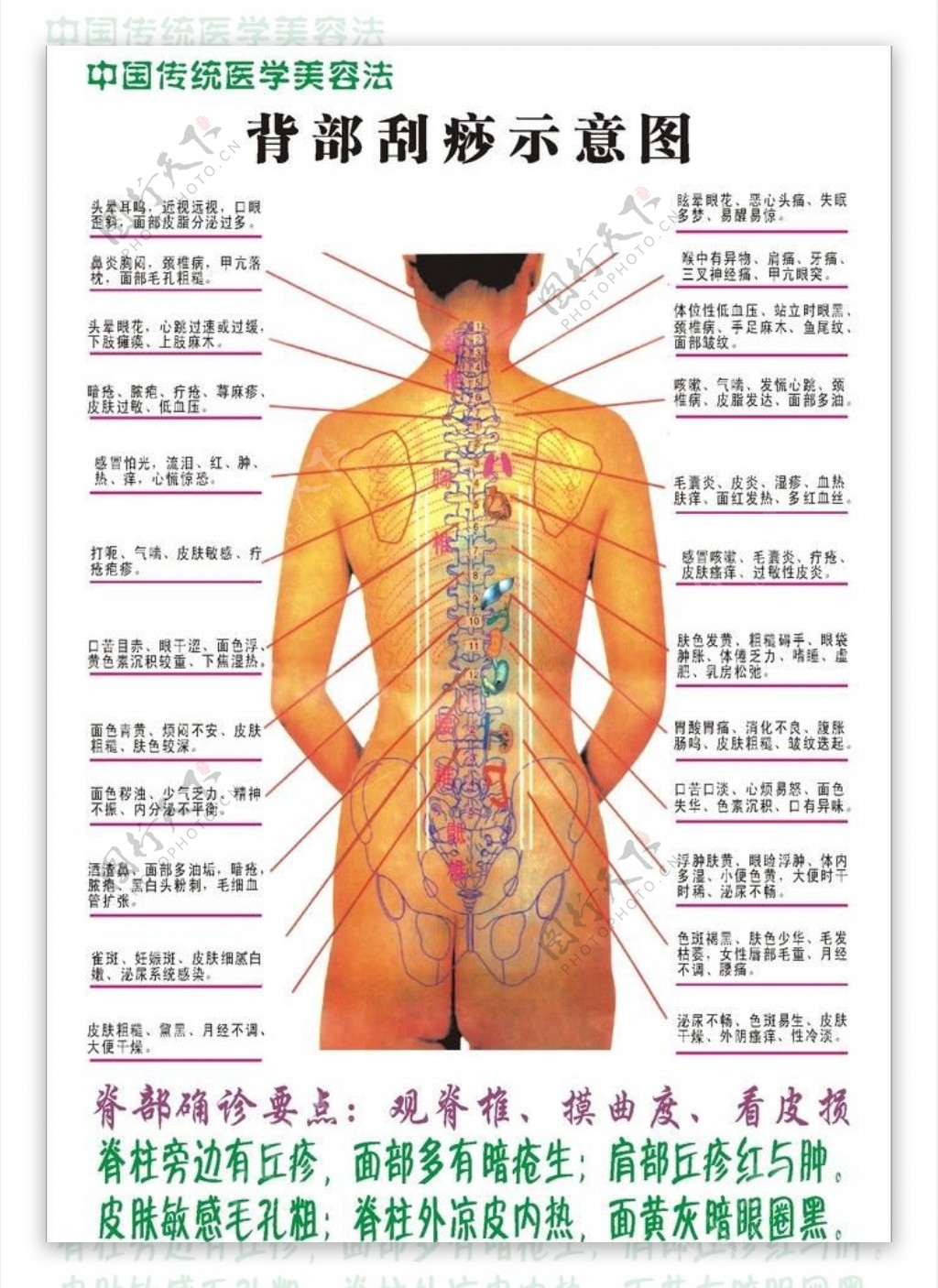 背部刮痧示意图图片