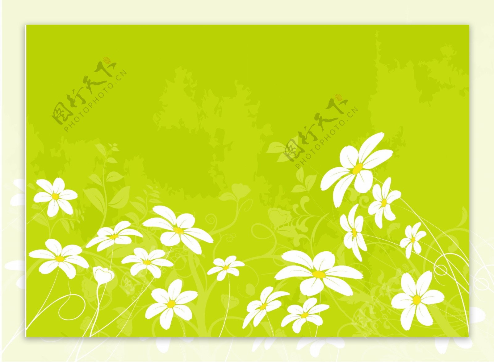 绿色白色小花背景模板下载