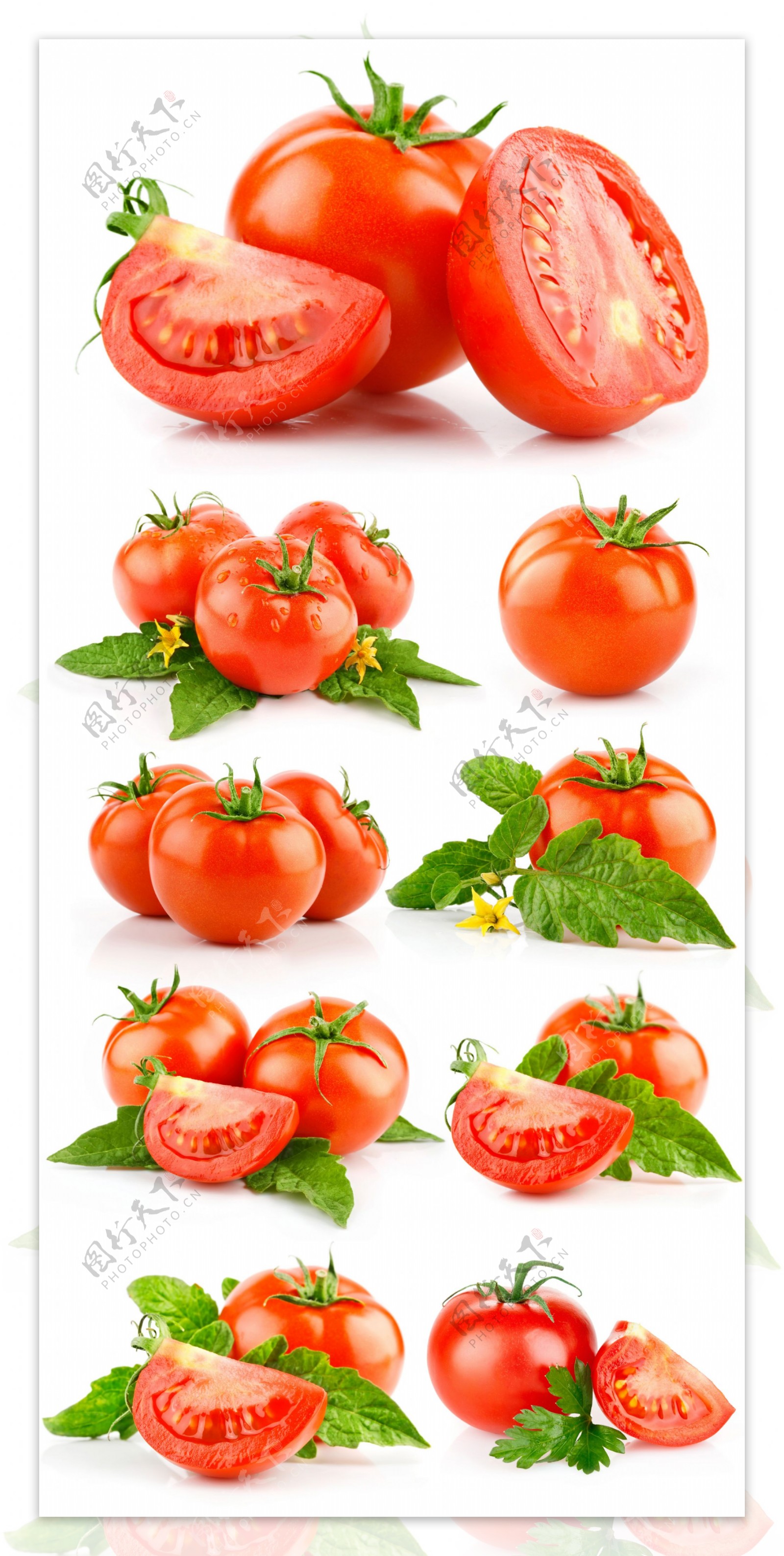 多组高清西红柿图片