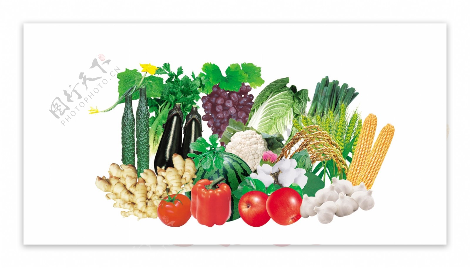 水果蔬菜组合图片