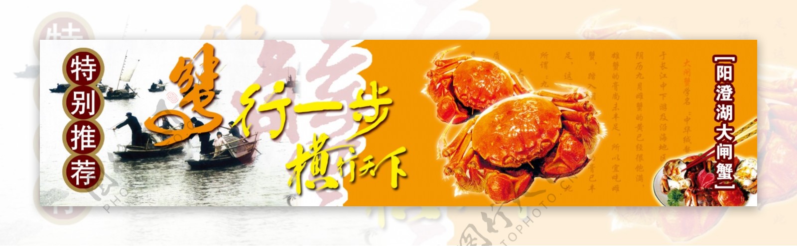 淘宝大闸蟹banner