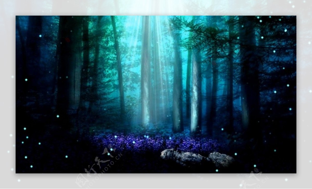 森林光线动态视频素材模板下载