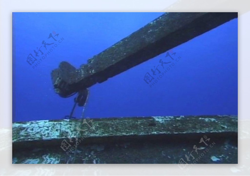 海底海洋生物视频素材素材下载