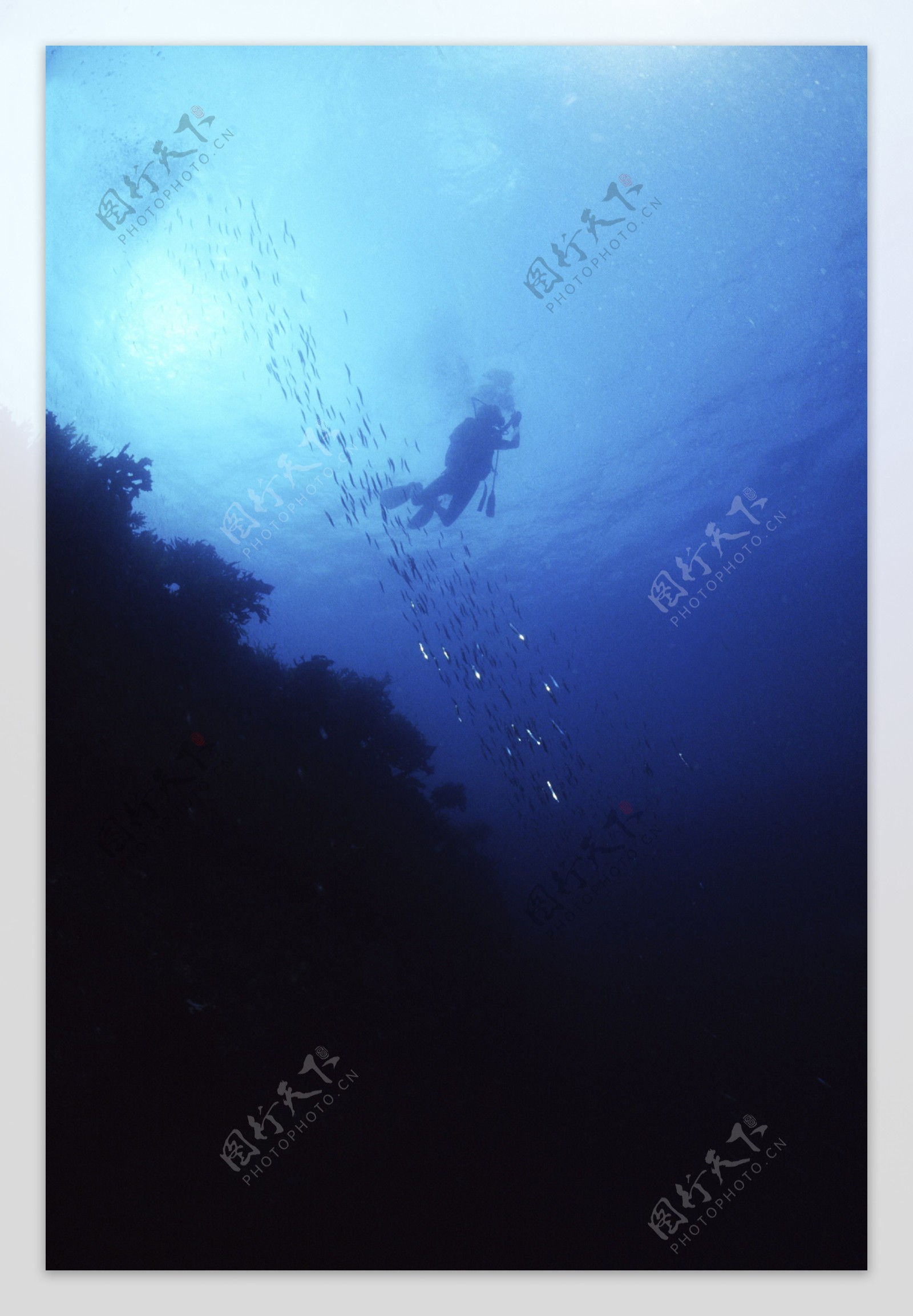 海底游泳图片