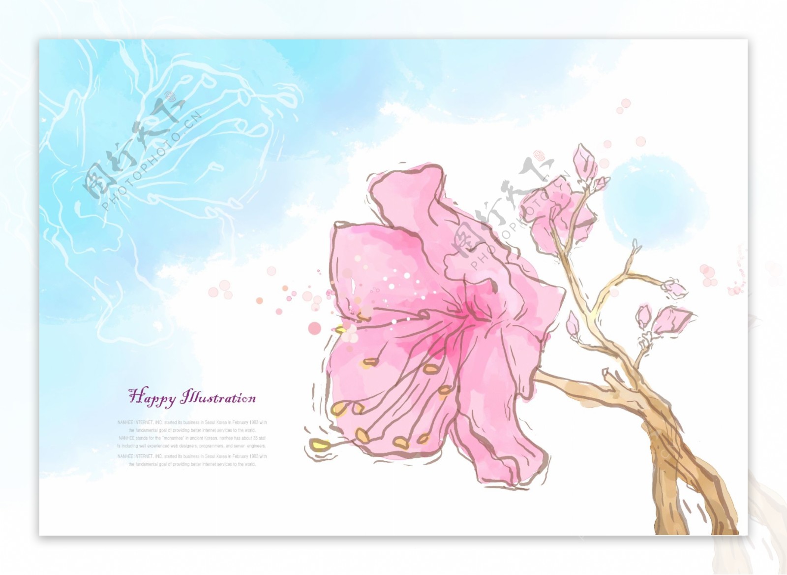 枝头的粉色花朵插画
