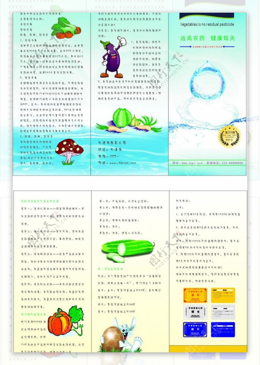 蔬菜三折页图片