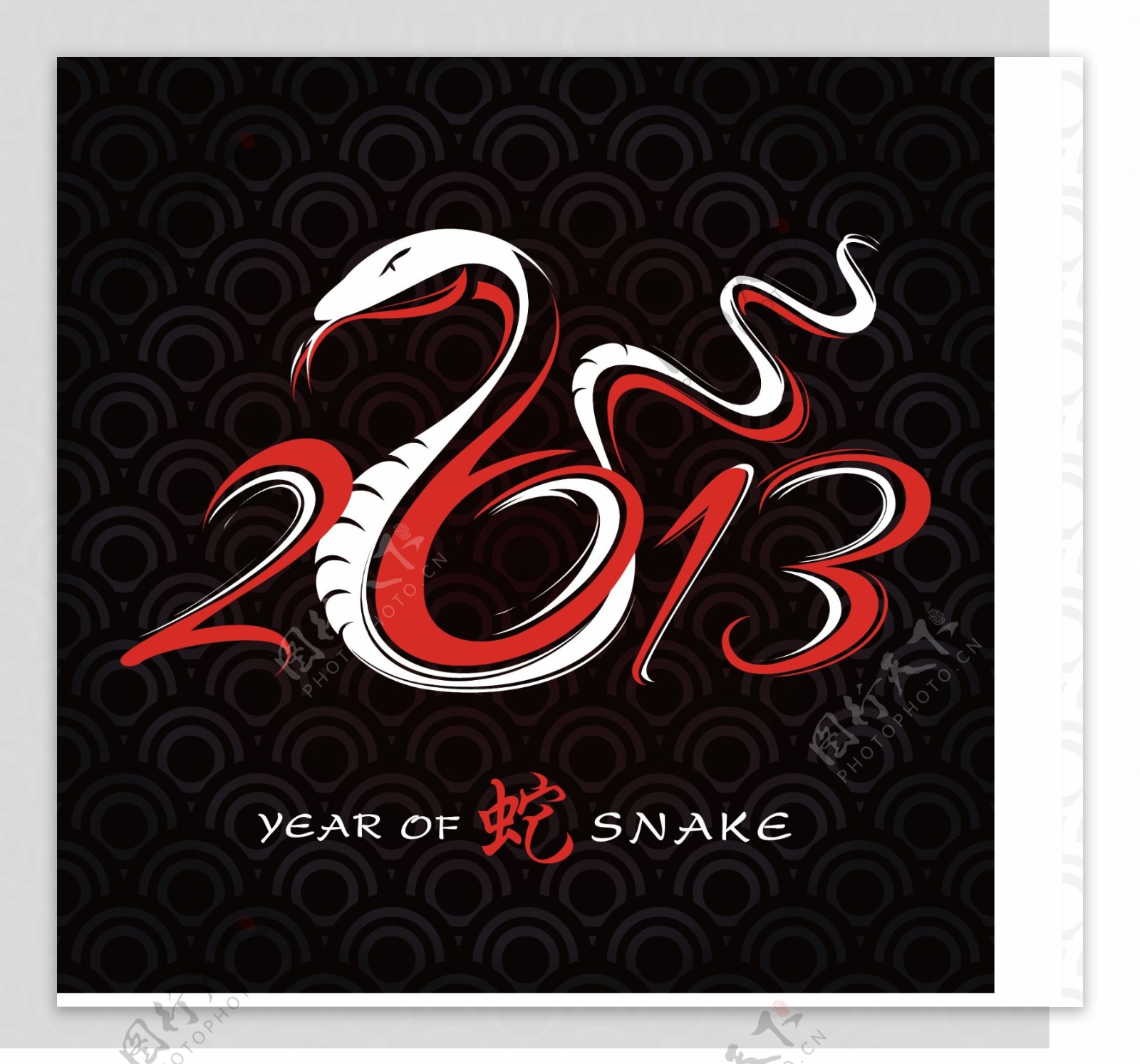 2013年的蛇创意卡片矢量素材