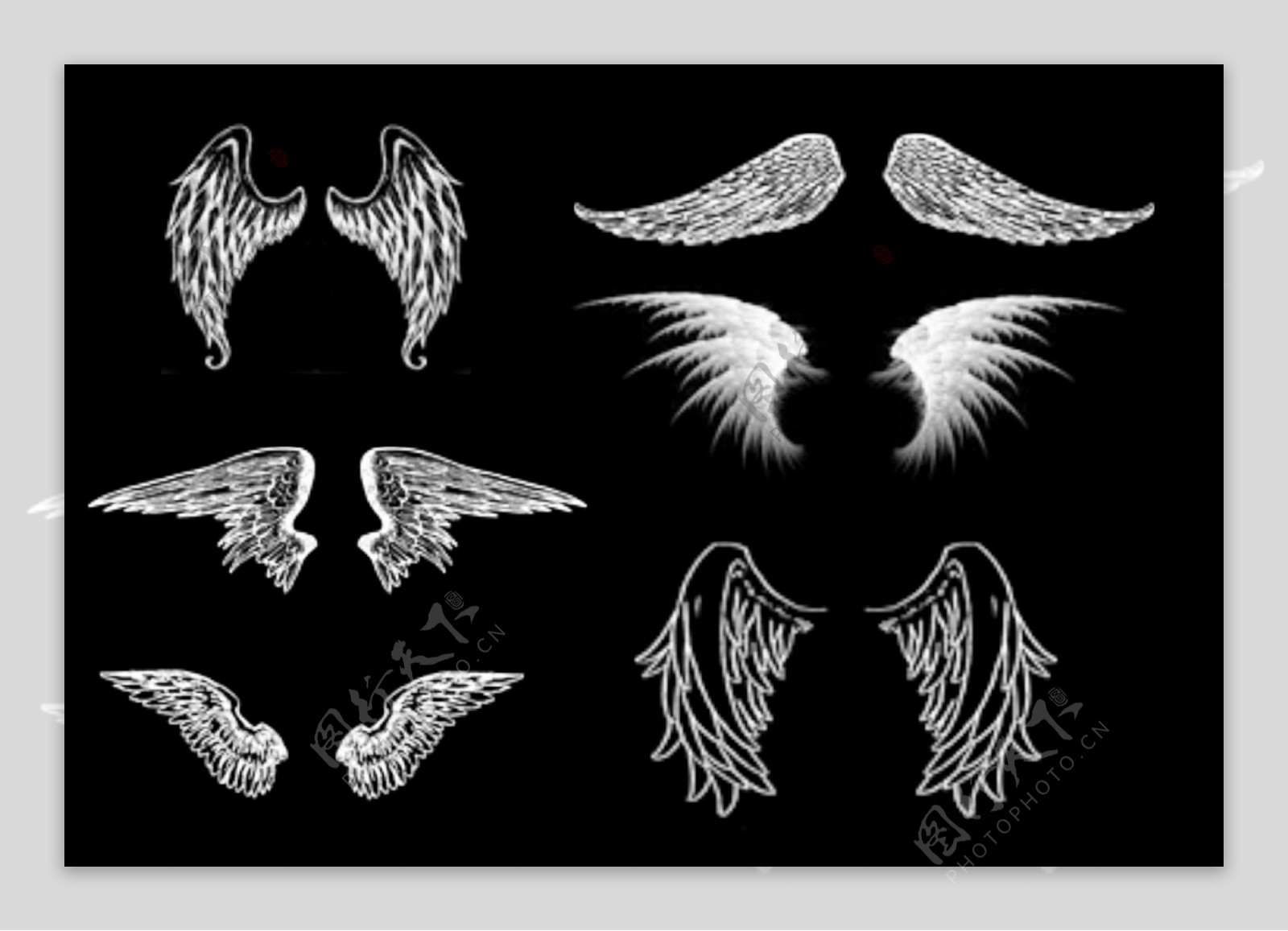 素描风格鸟类翅膀免抠png透明图层素材图片-图行天下素材网